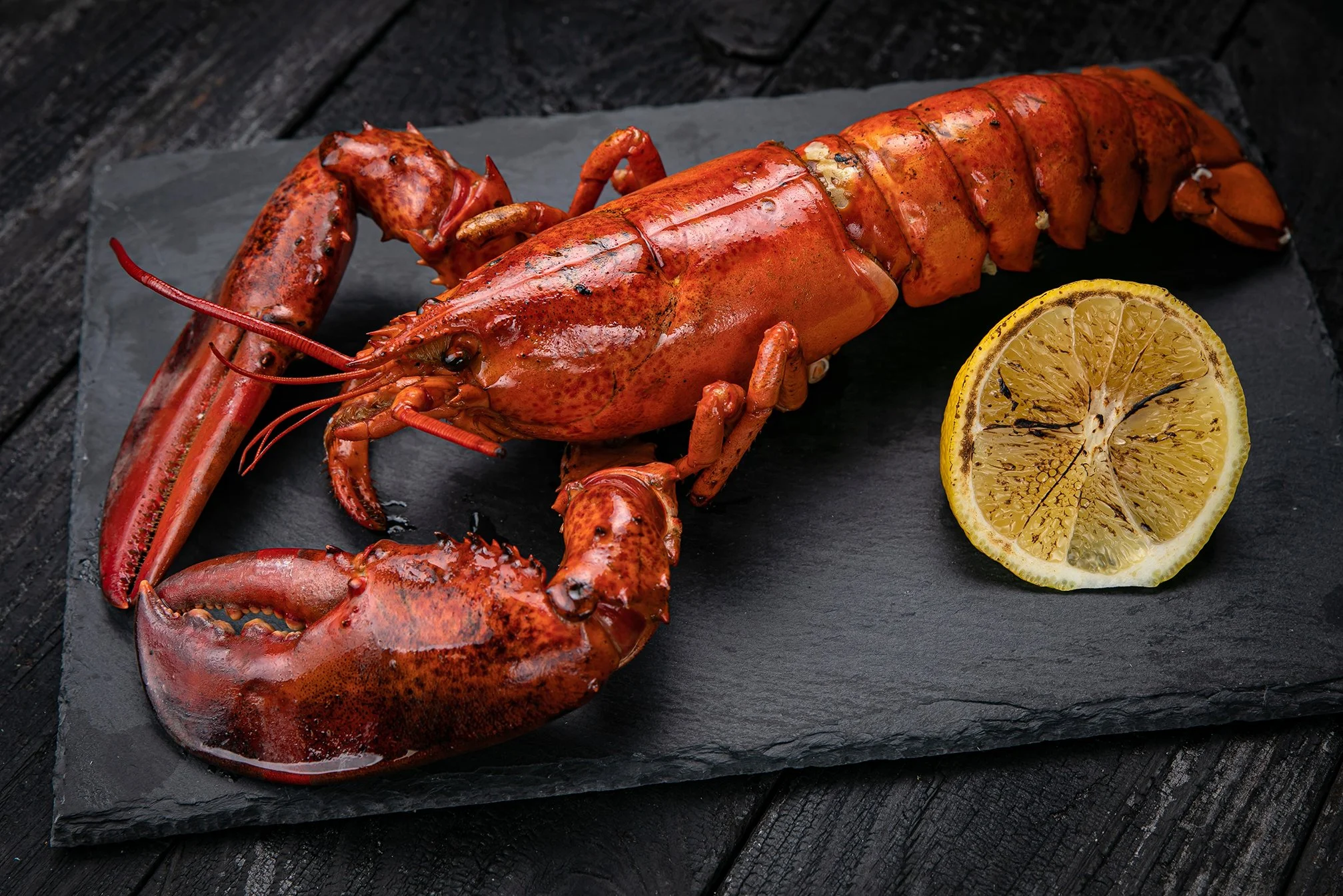 shutterstock_2047765307.jpg
