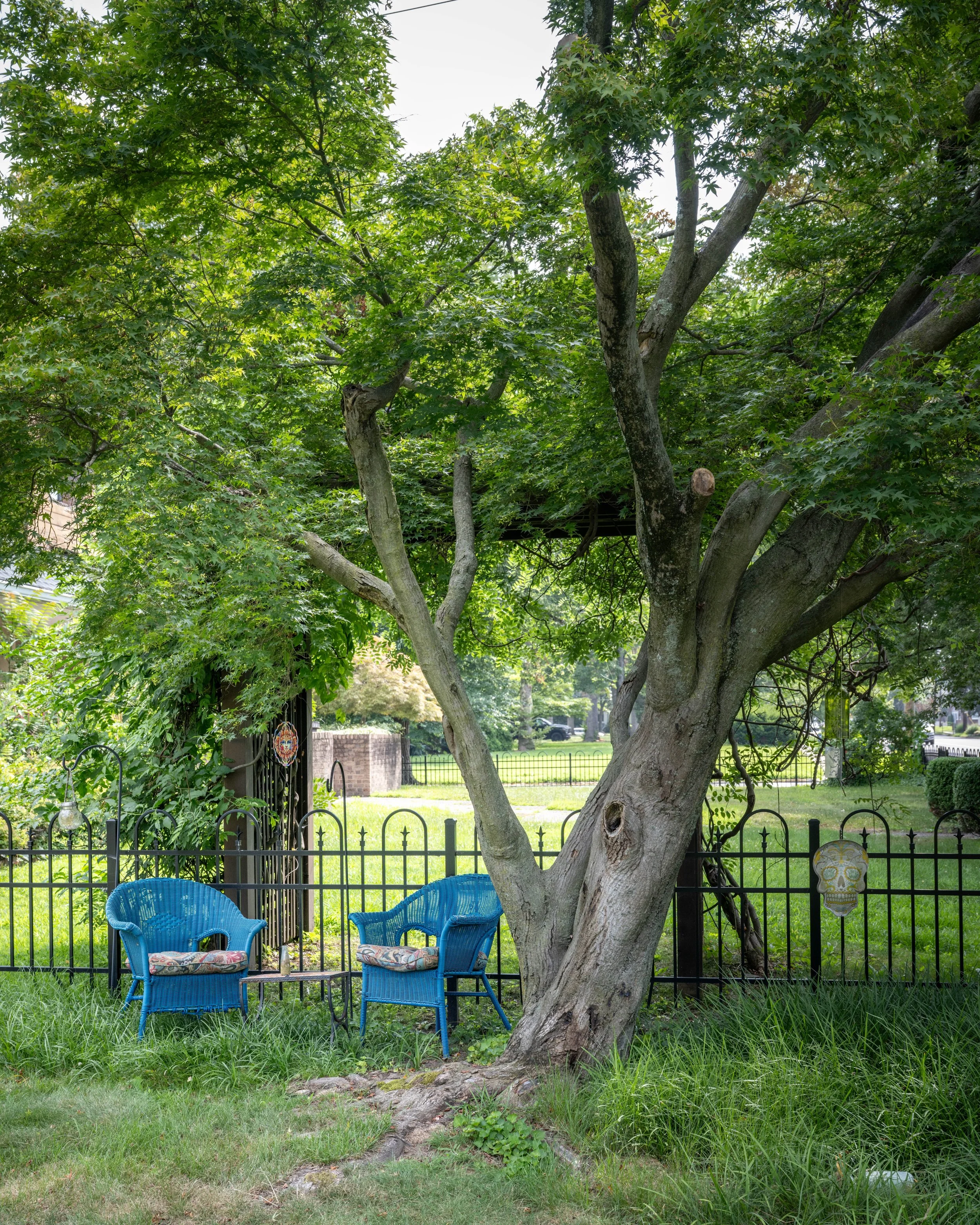 A backyard scene with a large tree, two blue chairs with cushions, a black metal fence with decorative skull ornaments, green grass, and a view of neighboring yards and trees in the background.