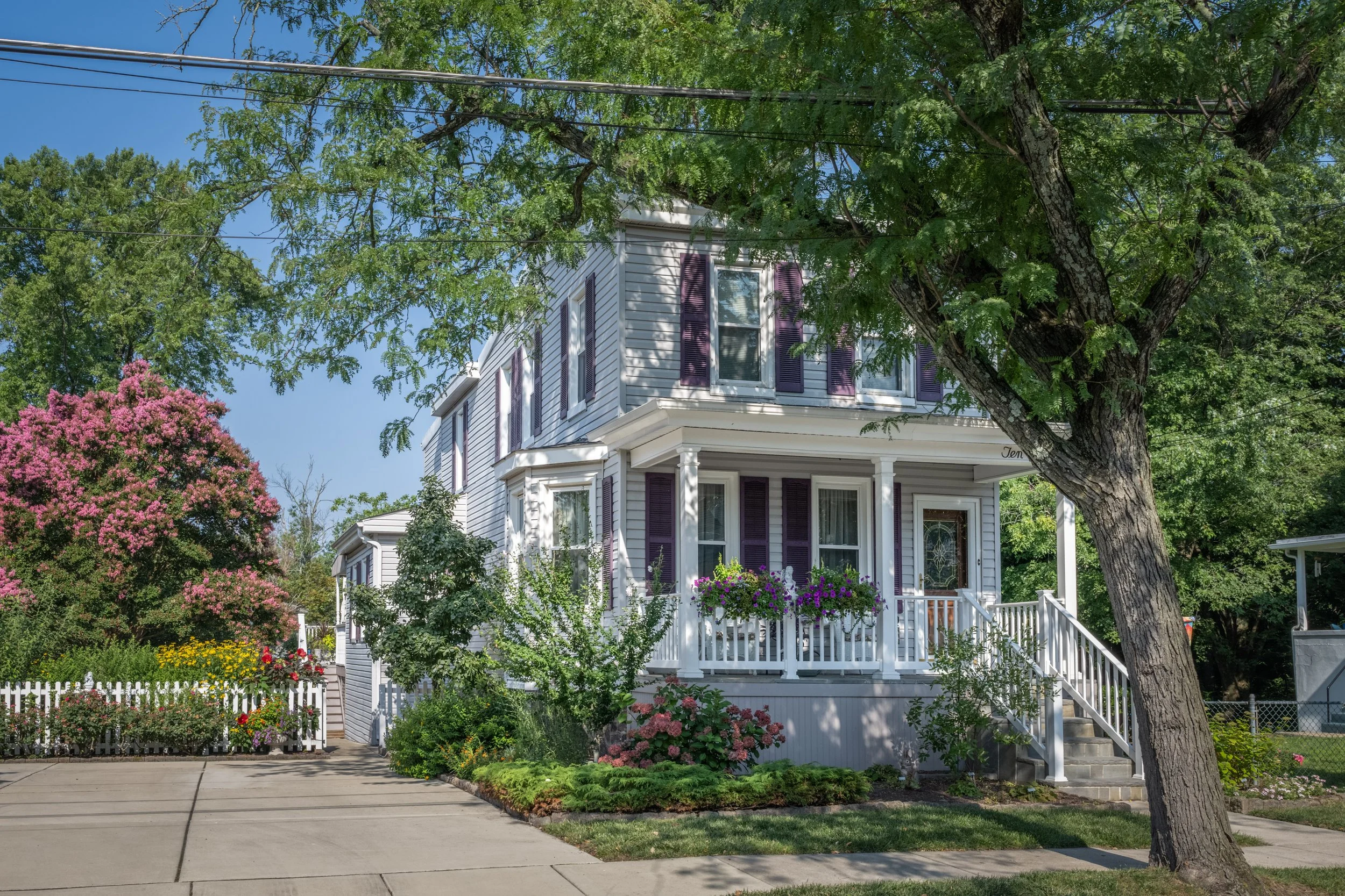 A white, two-story house with purple shutters and a front porch adorned with hanging flower baskets, surrounded by lush greenery and blooming pink and red flowers, with a large tree partially blocking the view.