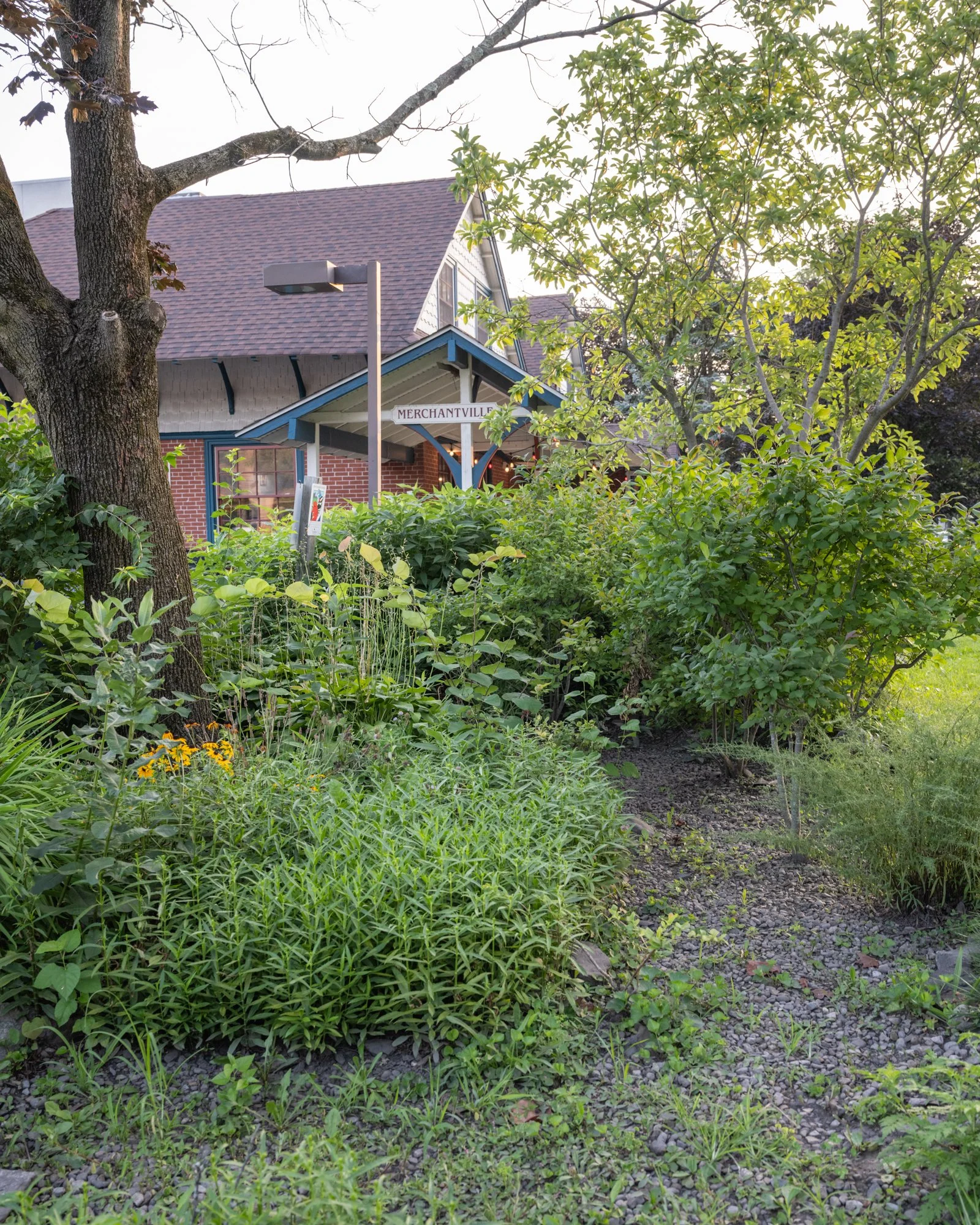 A view of a building with a sign that reads 'Merchantville,' surrounded by lush green trees and plants, with a gravel pathway in the foreground.