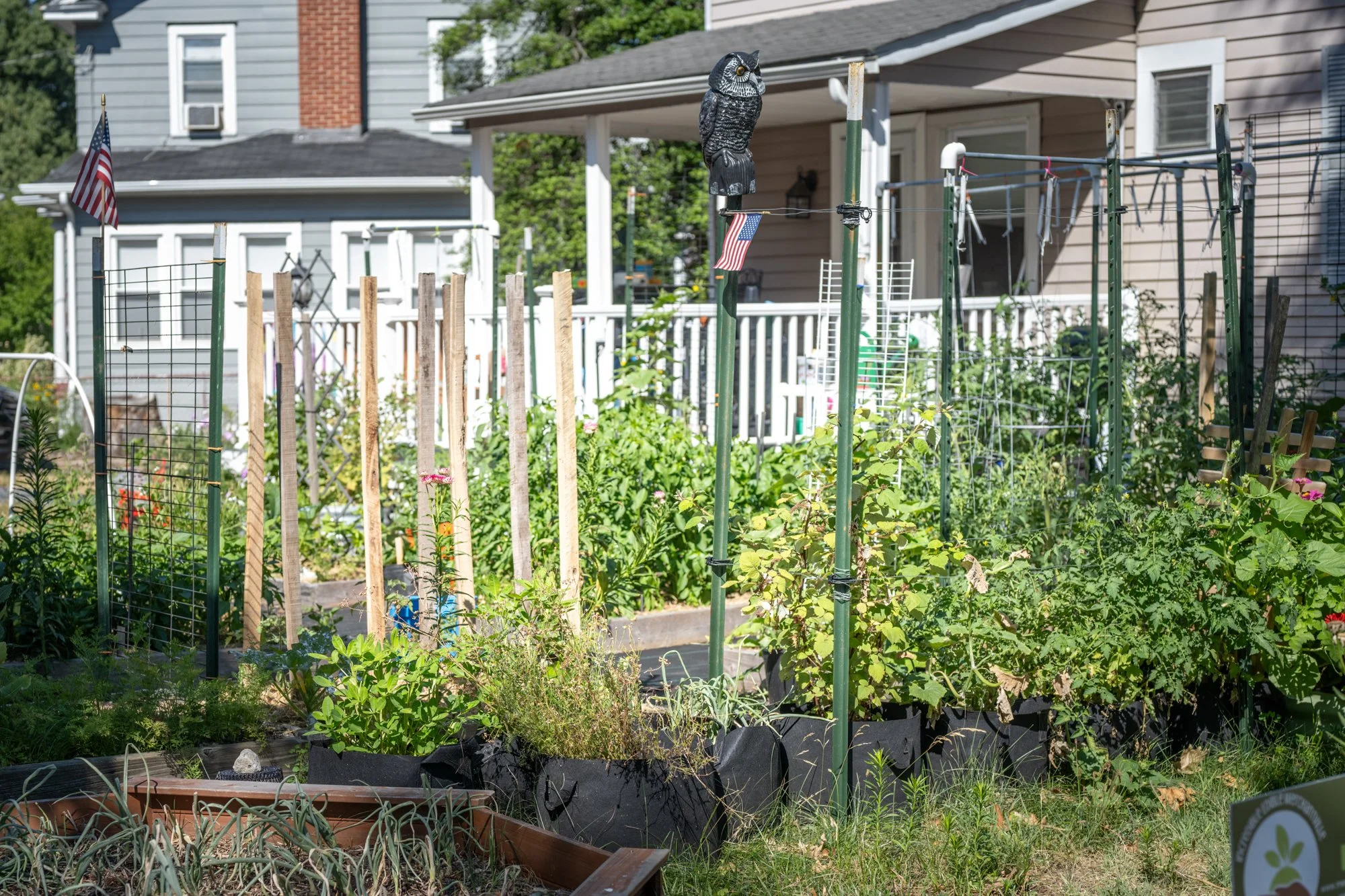 A garden with various plants, stakes, and trellises, located in front of a house with siding and a porch. An American flag and a decorative owl are mounted on vertical rods.