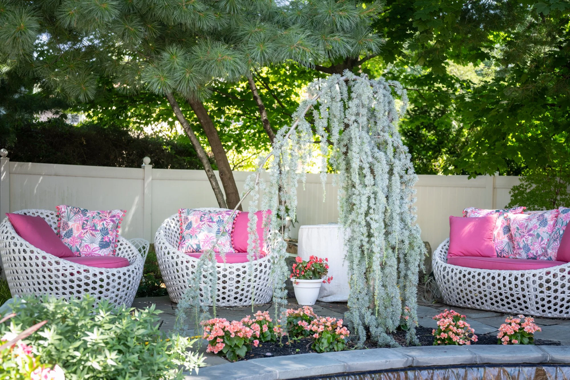 A backyard patio with four white wicker chairs with pink floral cushions, a small flowering plant in a white pot, green shrubs, and trees with green foliage. There is a white fence in the background.