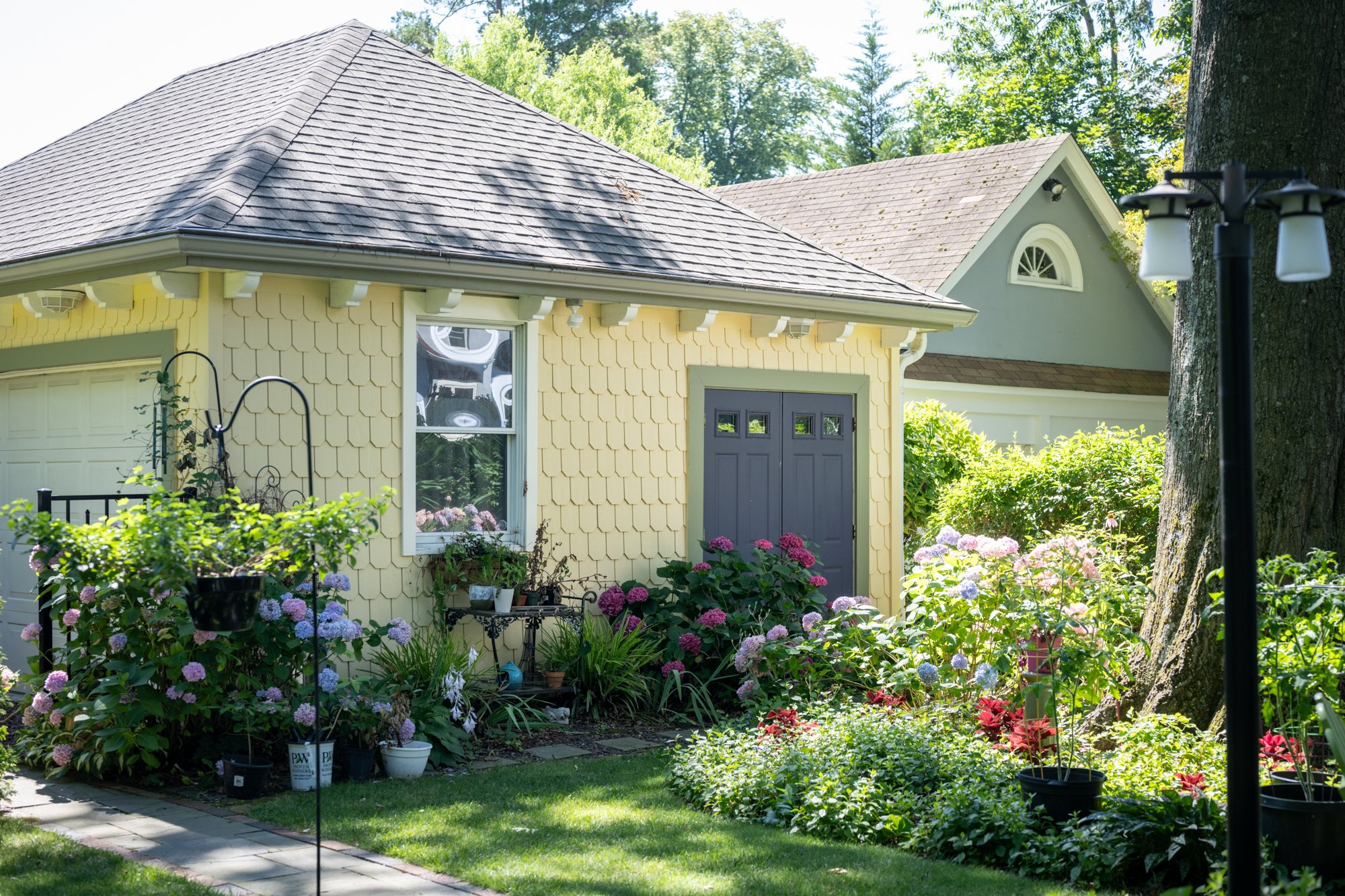 A cozy yellow house with a gray door and window, surrounded by vibrant pink, purple, and red flowers, green bushes, and a large tree in a sunny garden.