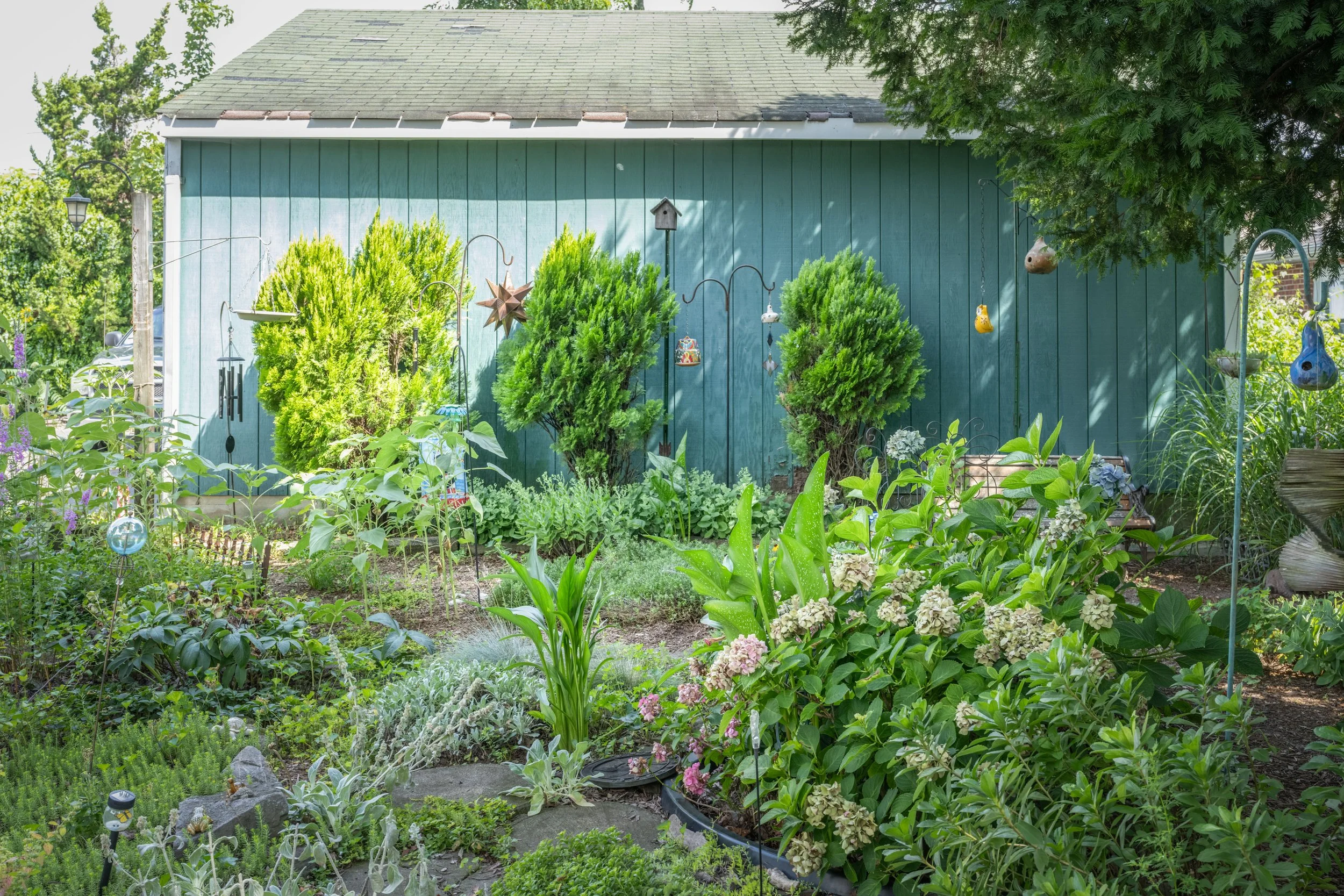 A lush garden with a blue shed, various green plants, flowering bushes, birdhouses, and garden ornaments.