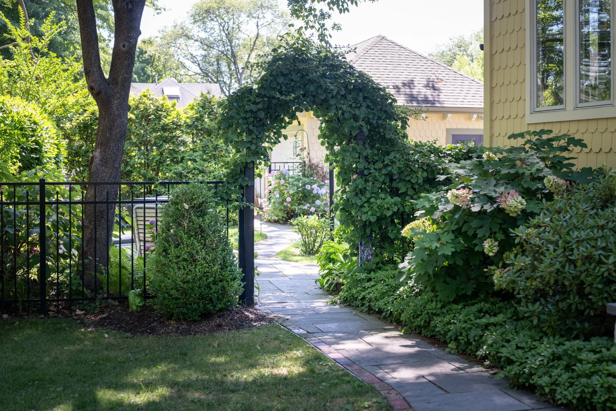 A backyard garden scene with a stone pathway leading through lush green plants and flowers, a black metal gate, and a large tree with a textured trunk. In the background, there is a yellow house with a gray shingled roof and a window reflecting sunli