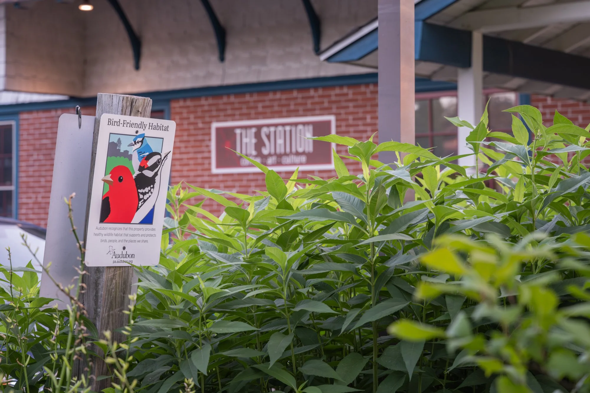 A sign indicating a bird-friendly habitat, with illustrations of different birds, among green foliage in the foreground. In the background, there is a brick building with a sign reading "The Station".