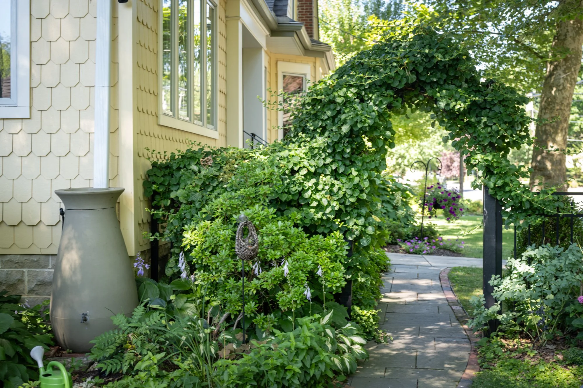 A garden path beside a yellow house with scalloped siding, surrounded by lush green plants and bushes, and a large leafy shrub arching over the walkway.