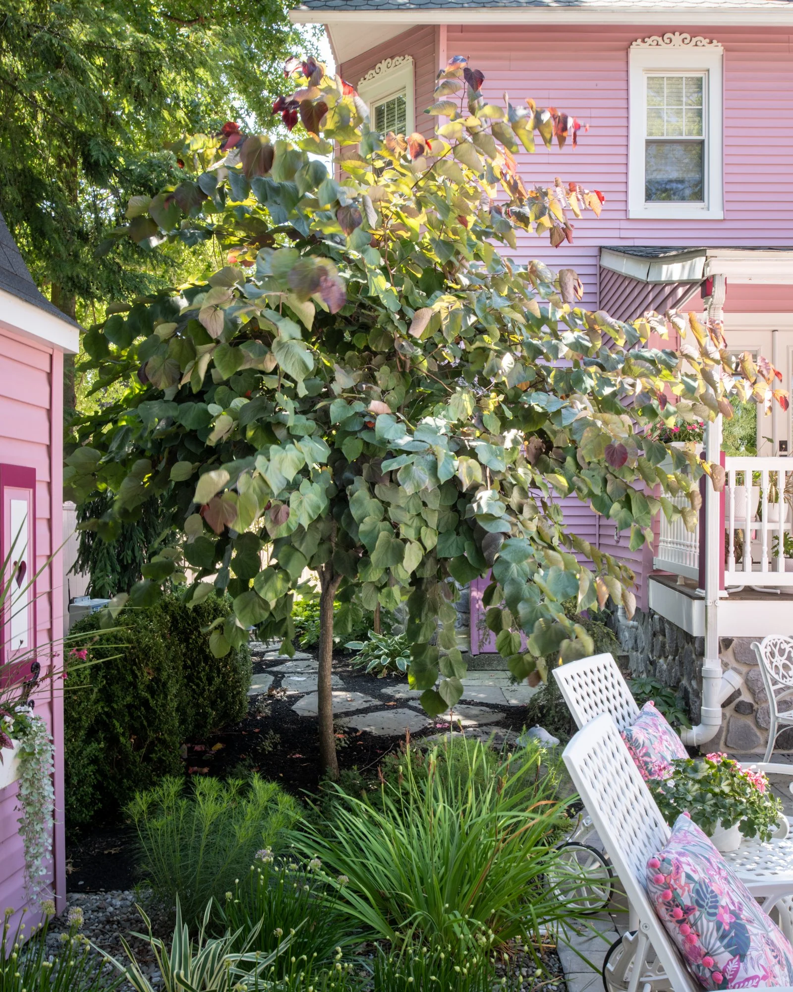 A backyard garden with a pink house, green trees, and various plants. There are white chairs with floral cushions on a stone-paved patio.
