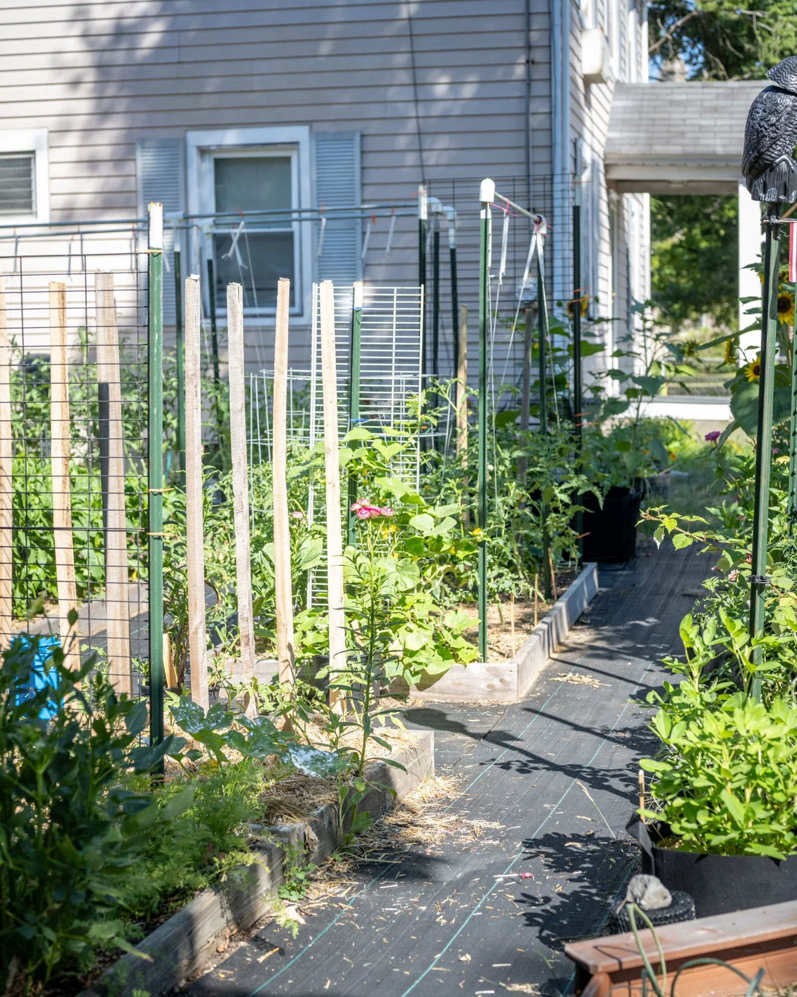 A garden with vegetable plants and flowers, bordered by a black weed barrier fabric, with a small wooden bench in the foreground, a light-colored house in the background, and various garden supports and trellises.