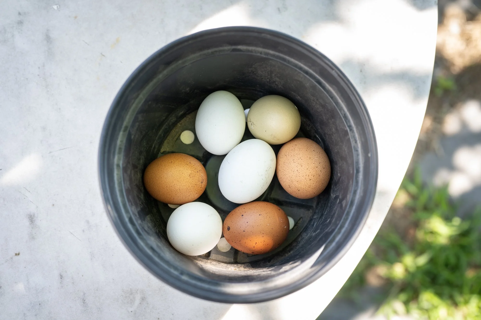 A metal container with various eggs of different colors, including white, brown, and light green, placed on a white surface outdoors.