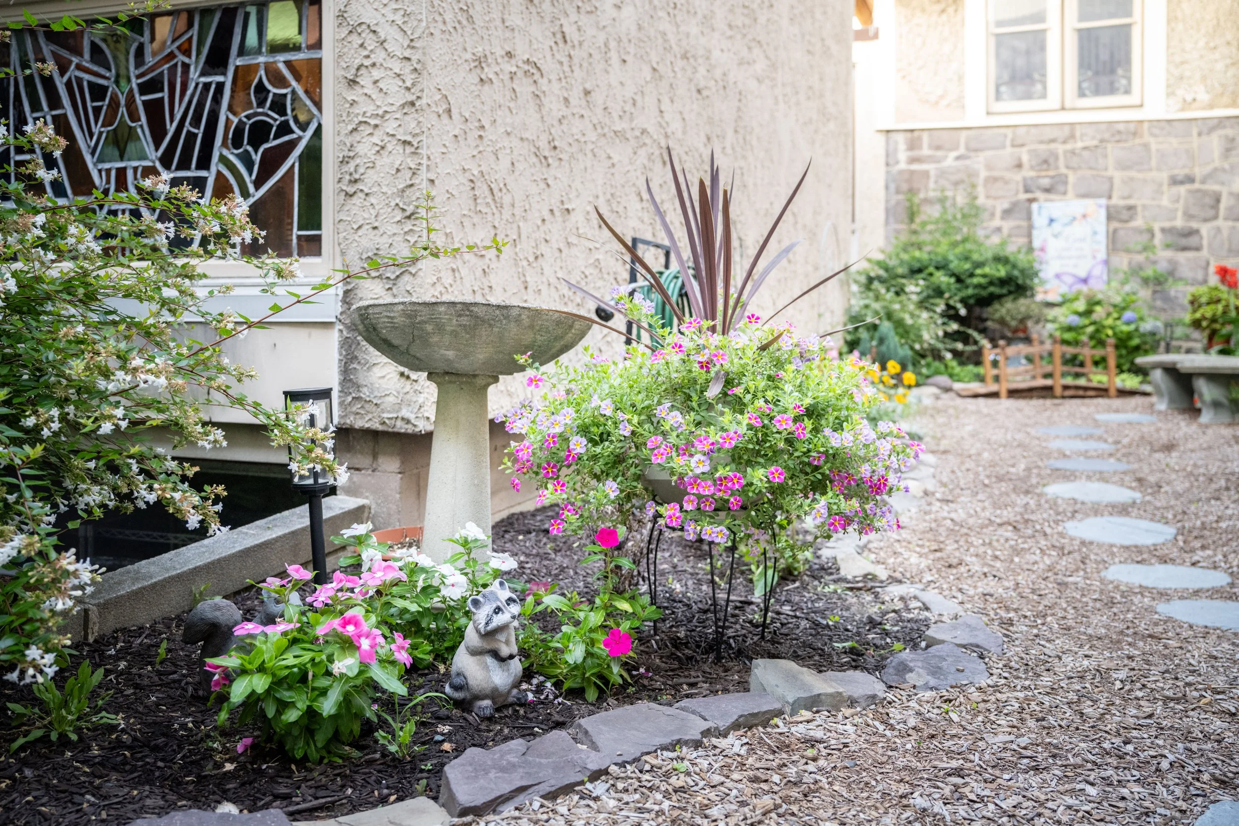A garden with blooming pink and purple flowers, a stone bird bath, and a small raccoon statue, surrounded by plants and stepping stones, outside a house with a textured stucco wall and a window.