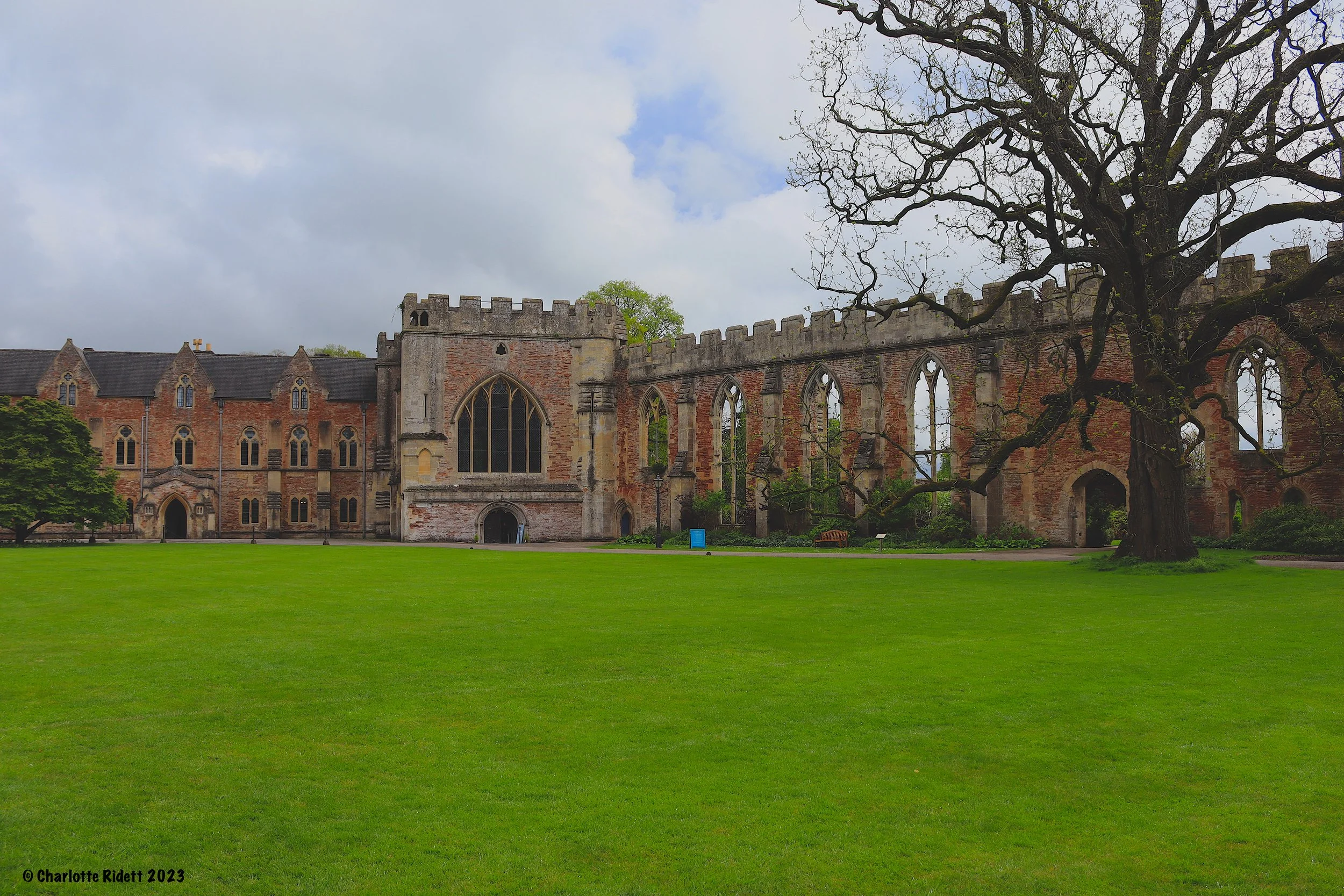 Bishop's Place 2023 - 03.JPG