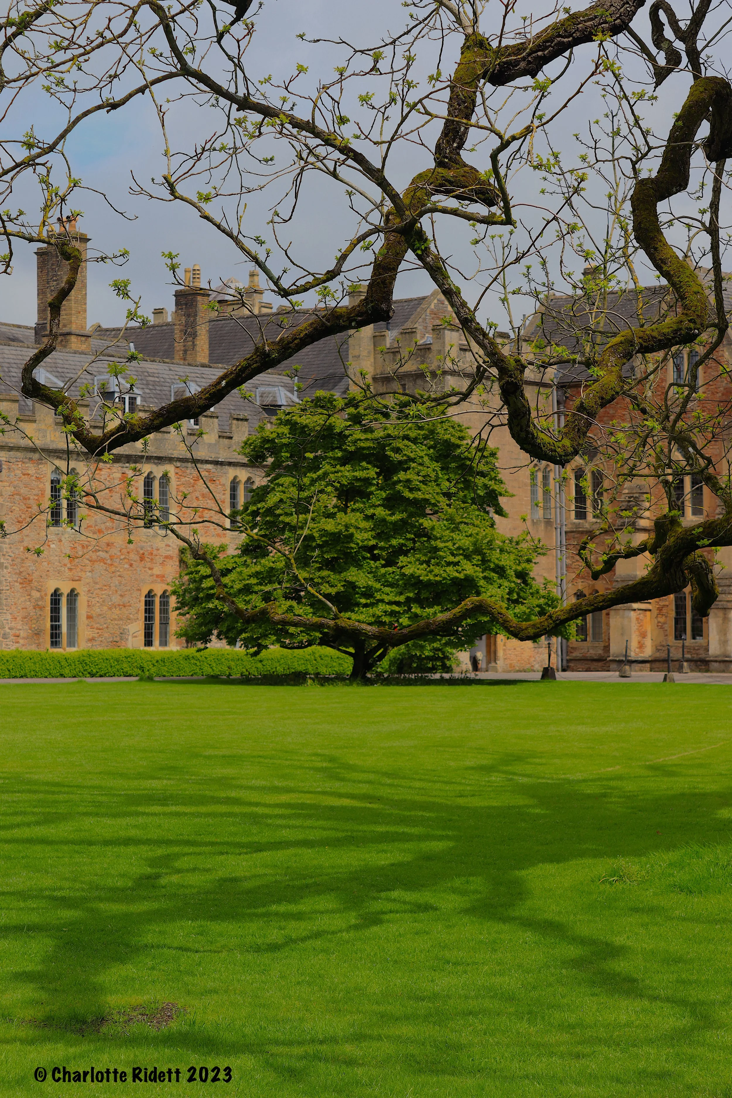 Bishop's Place 2023 - 02 .JPG