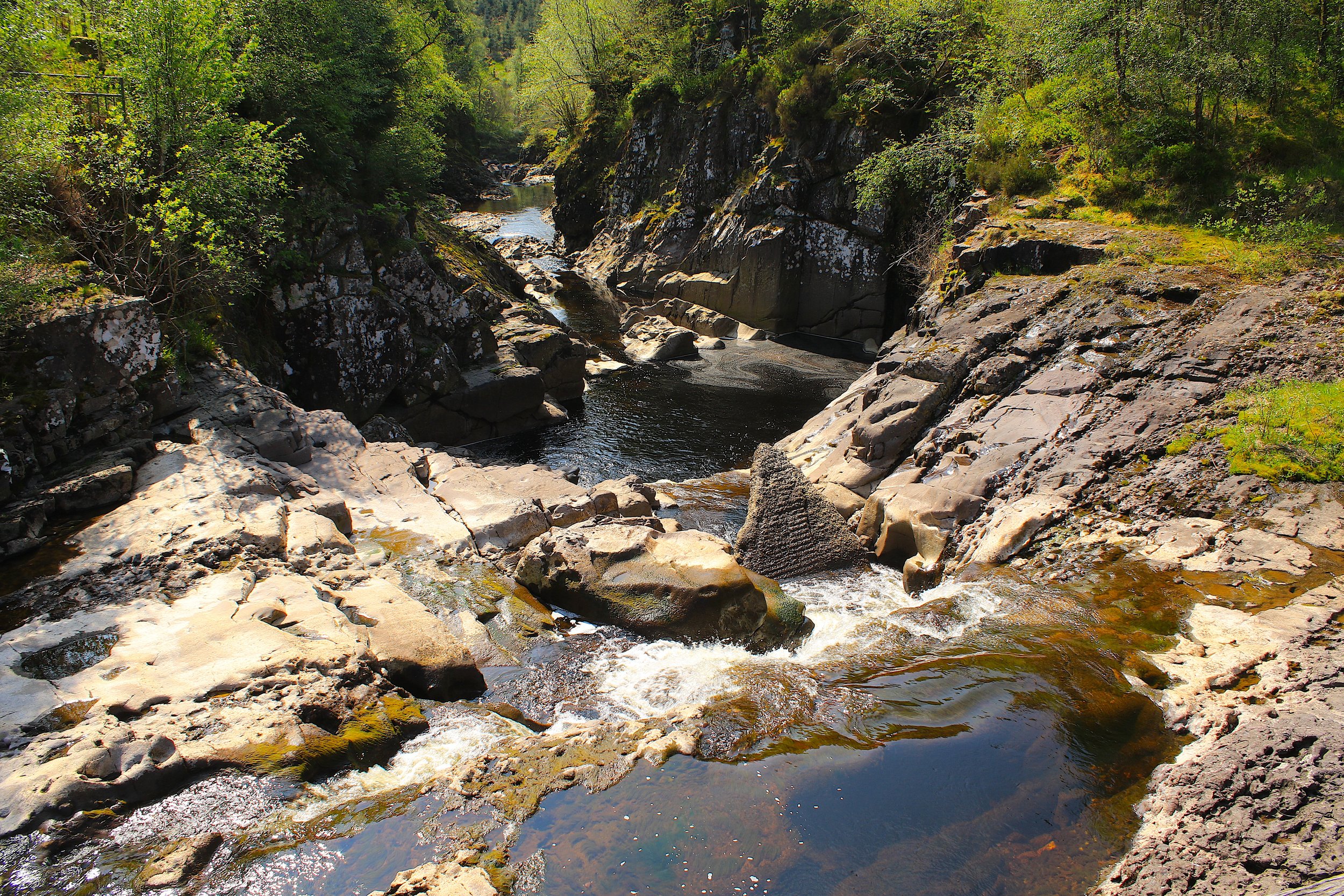 11-05-24 Bracklinn Falls 34 .jpeg