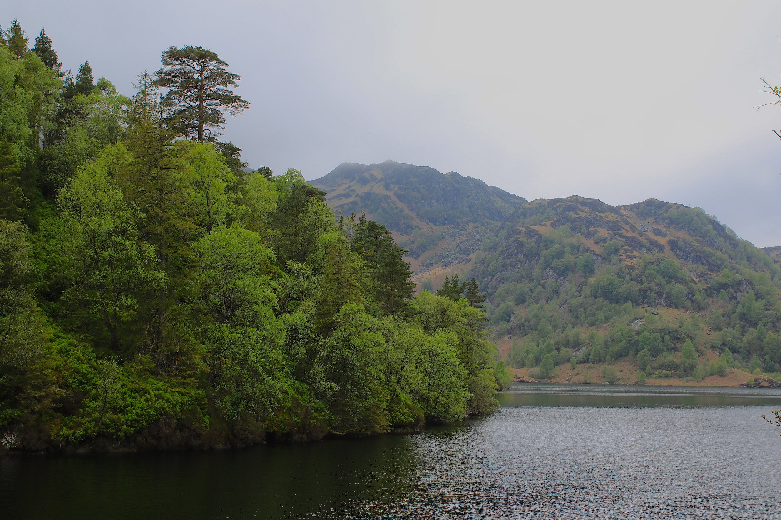 07-05-24 Loch Katrine 02 .jpeg