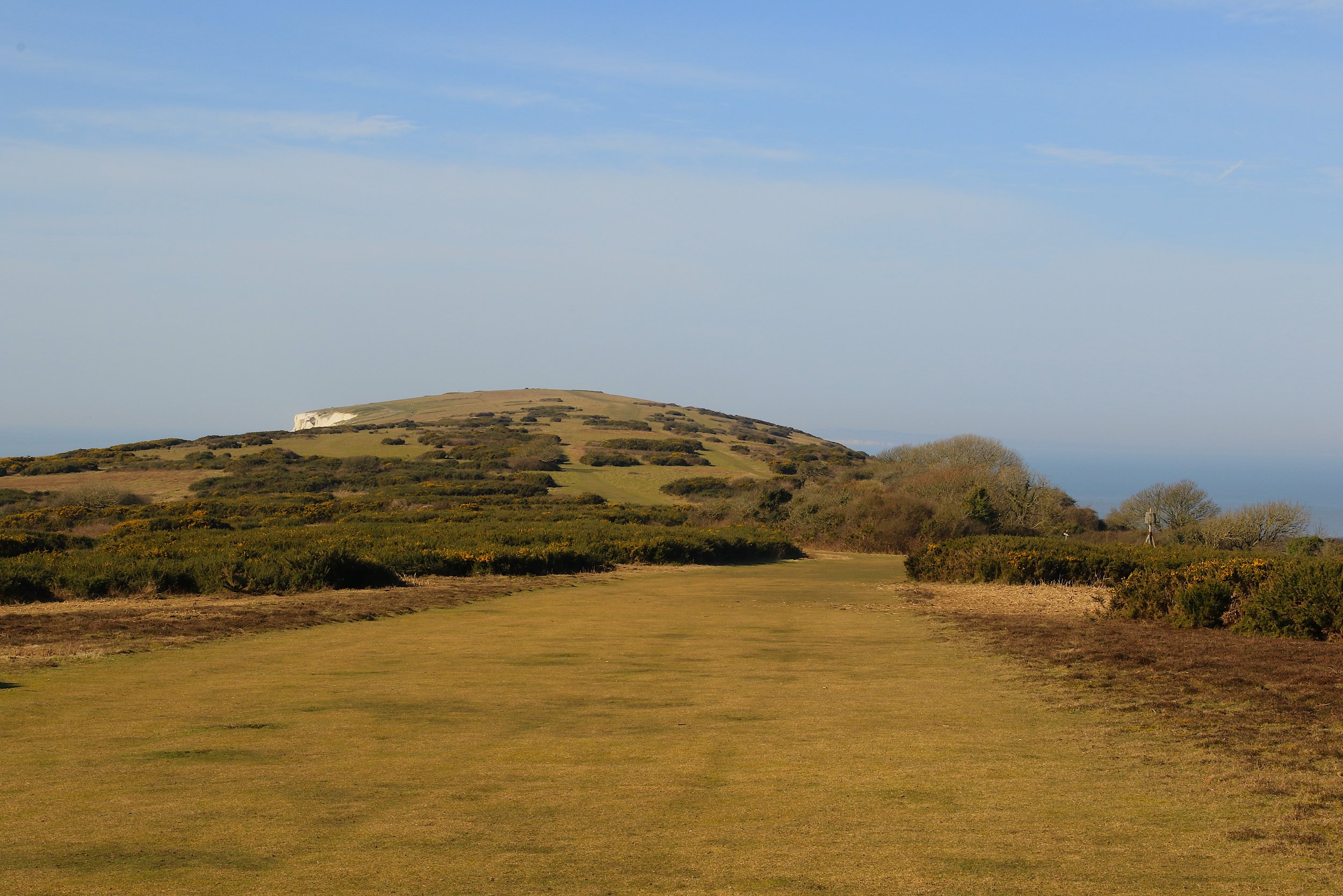 06-03-25 Tennyson Down 08 .jpeg