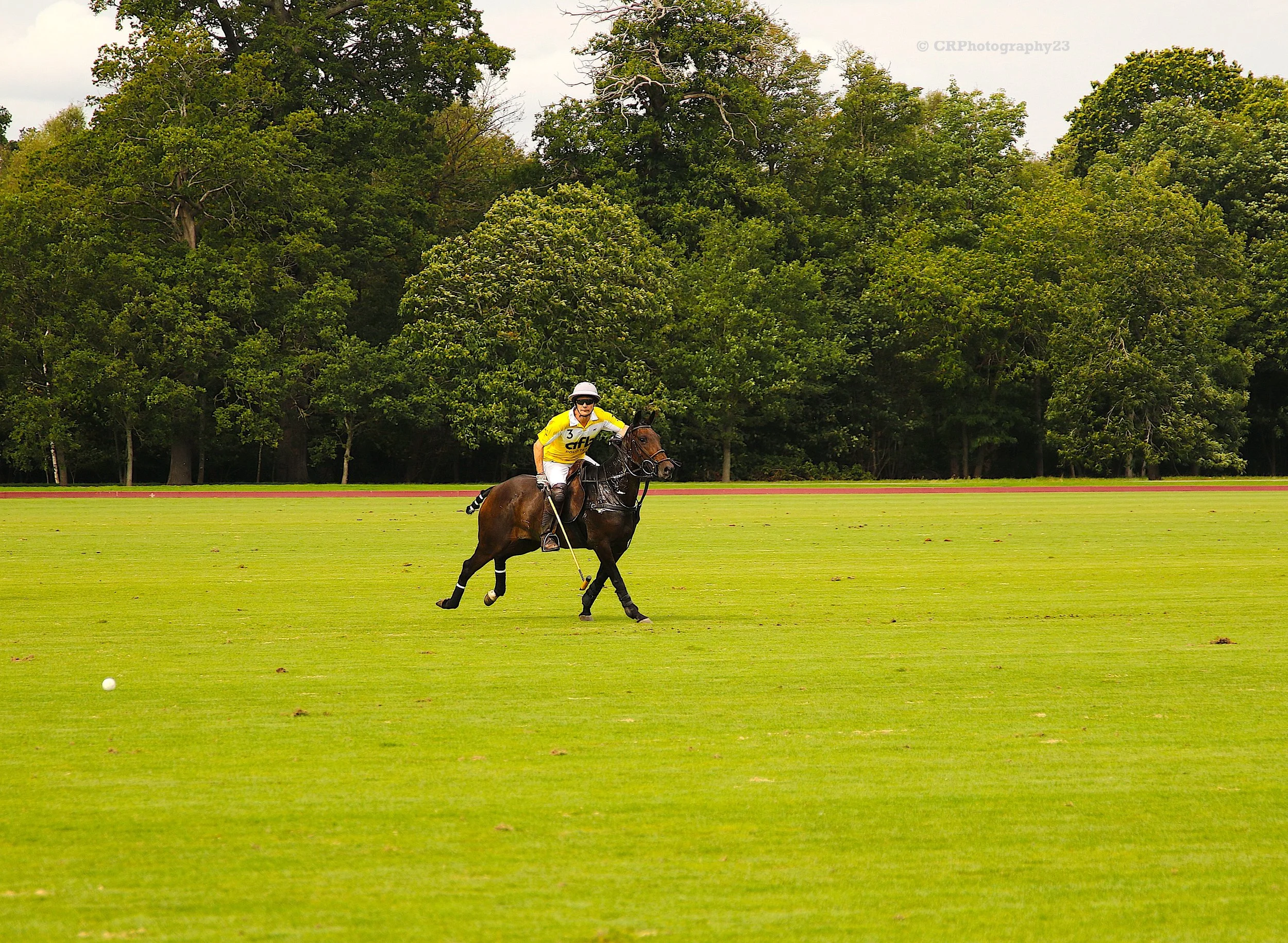 07-09-25 Windsor Polo Club 35 .jpeg