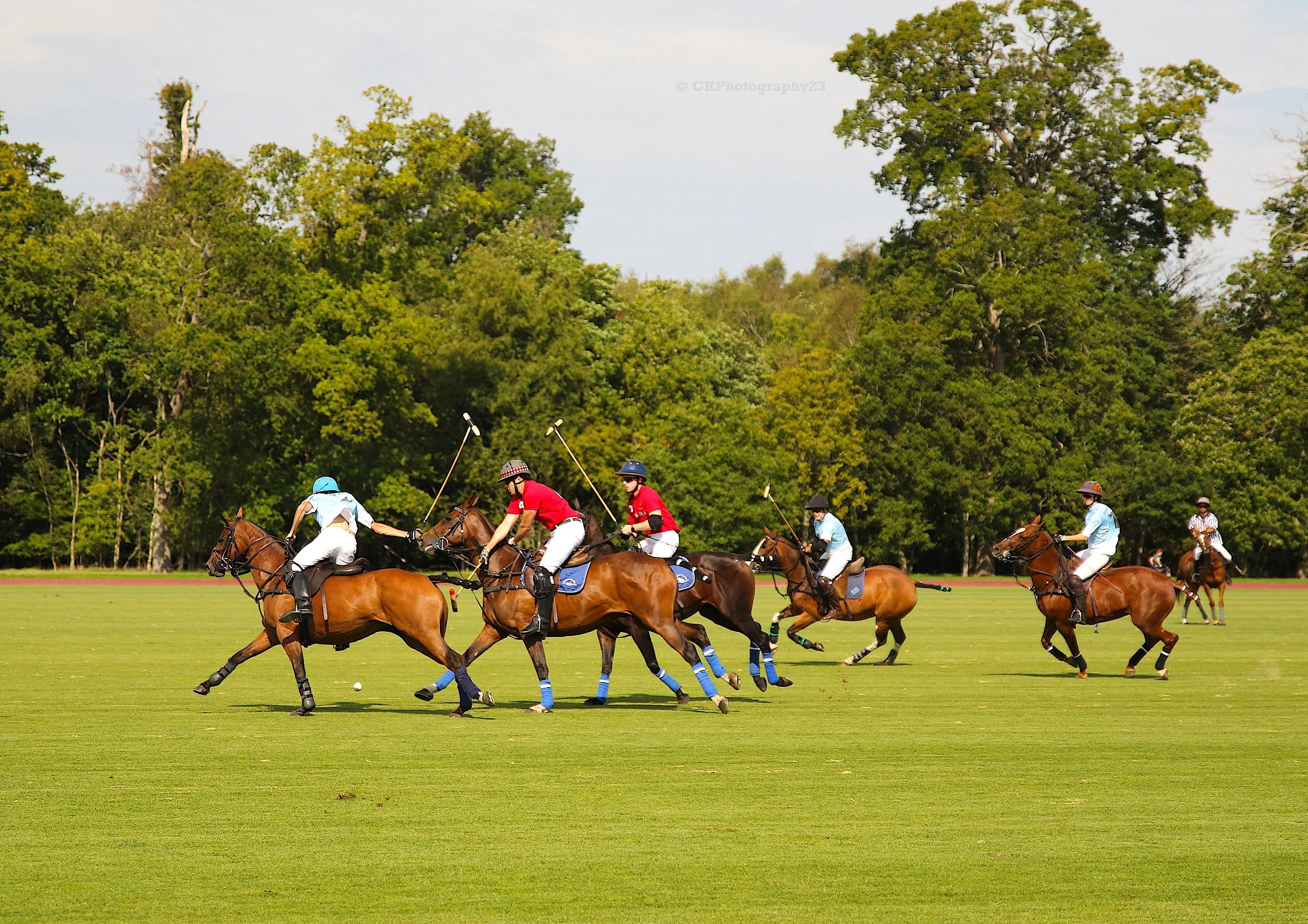 07-09-25 Windsor Polo Club 07 .jpeg