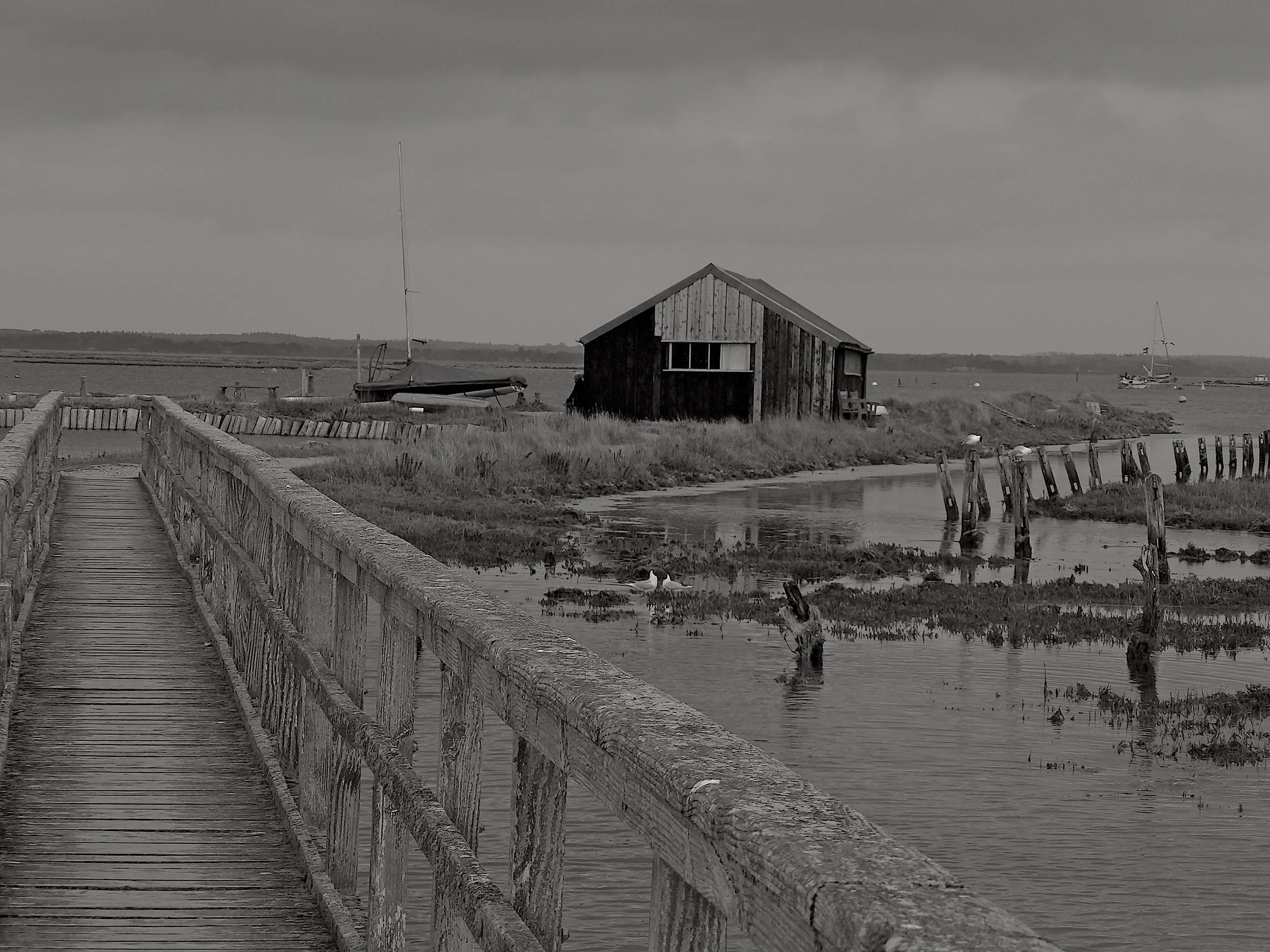 15-04-25 Newtown 01 .jpeg