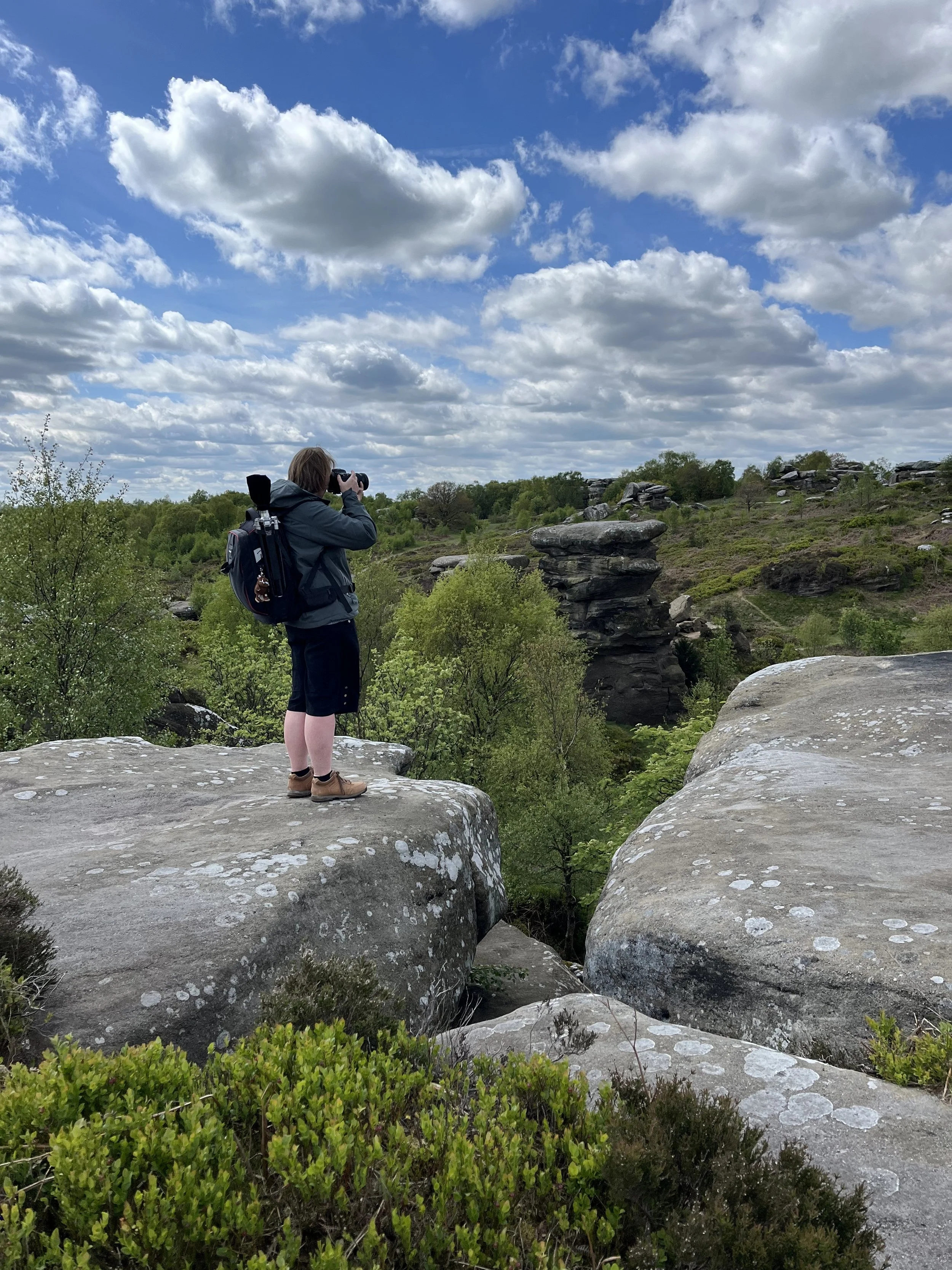 Brimham Rocks 