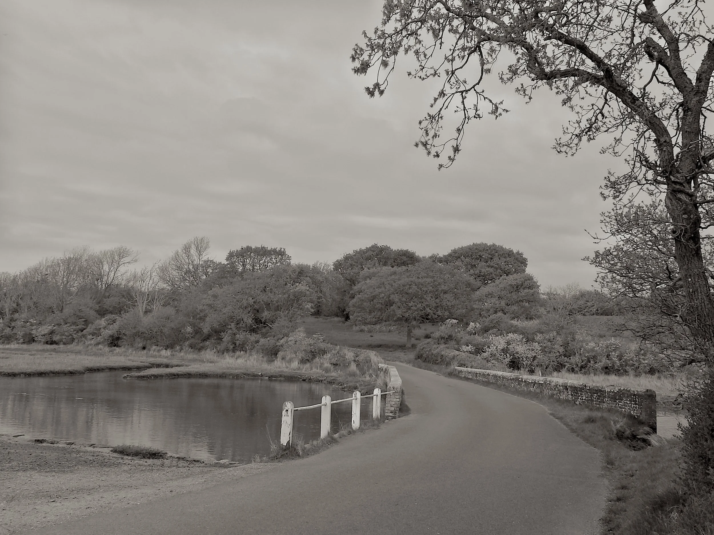 15-04-25 Newtown 24 .jpeg