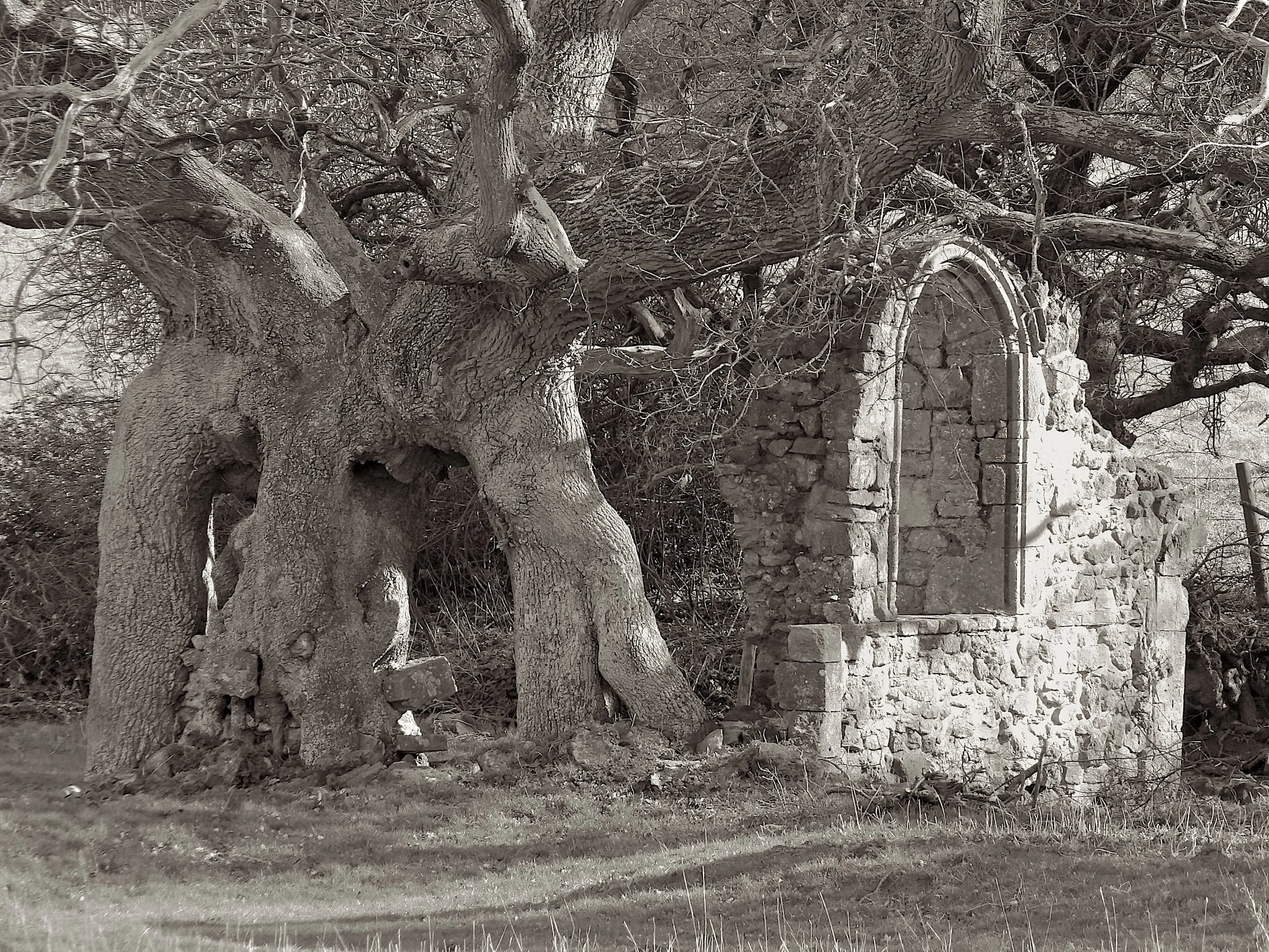 09-03-25 Quarr Abbey 07 .jpeg