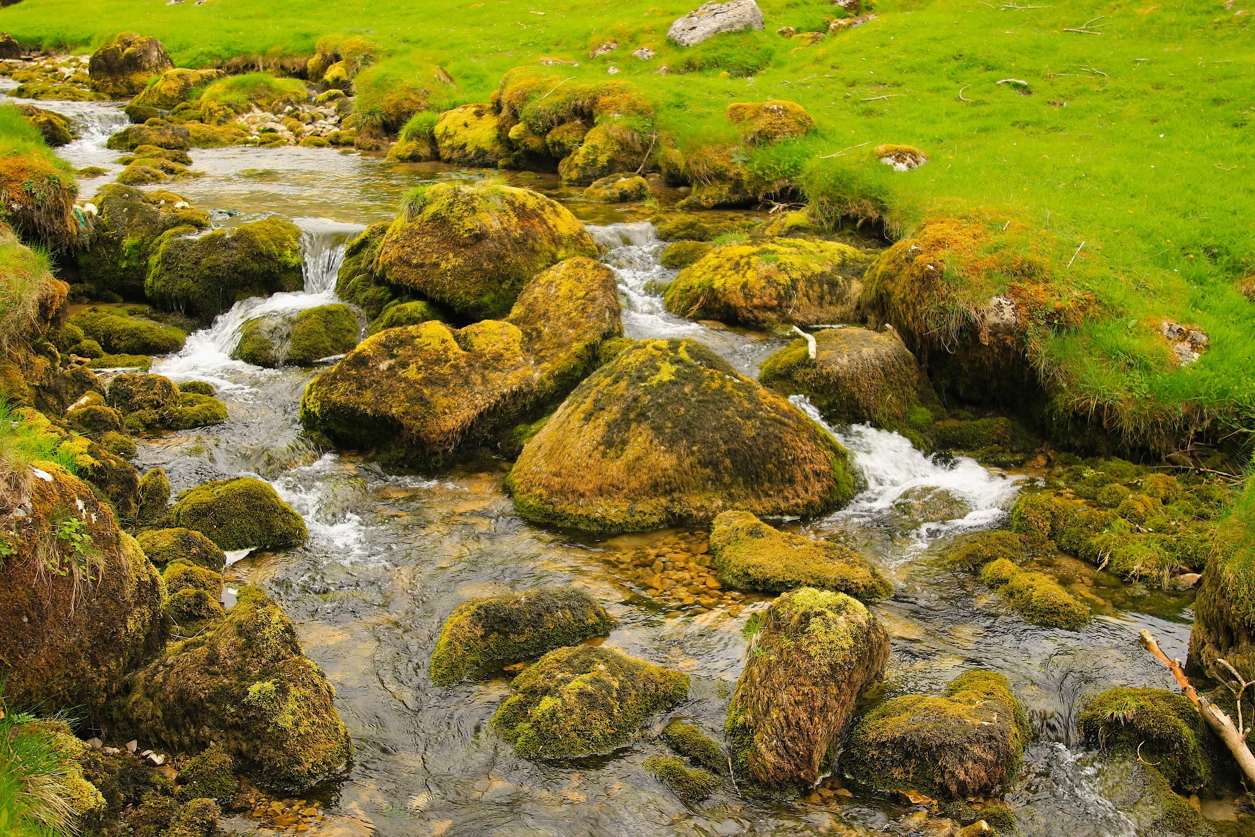 Janet's Foss