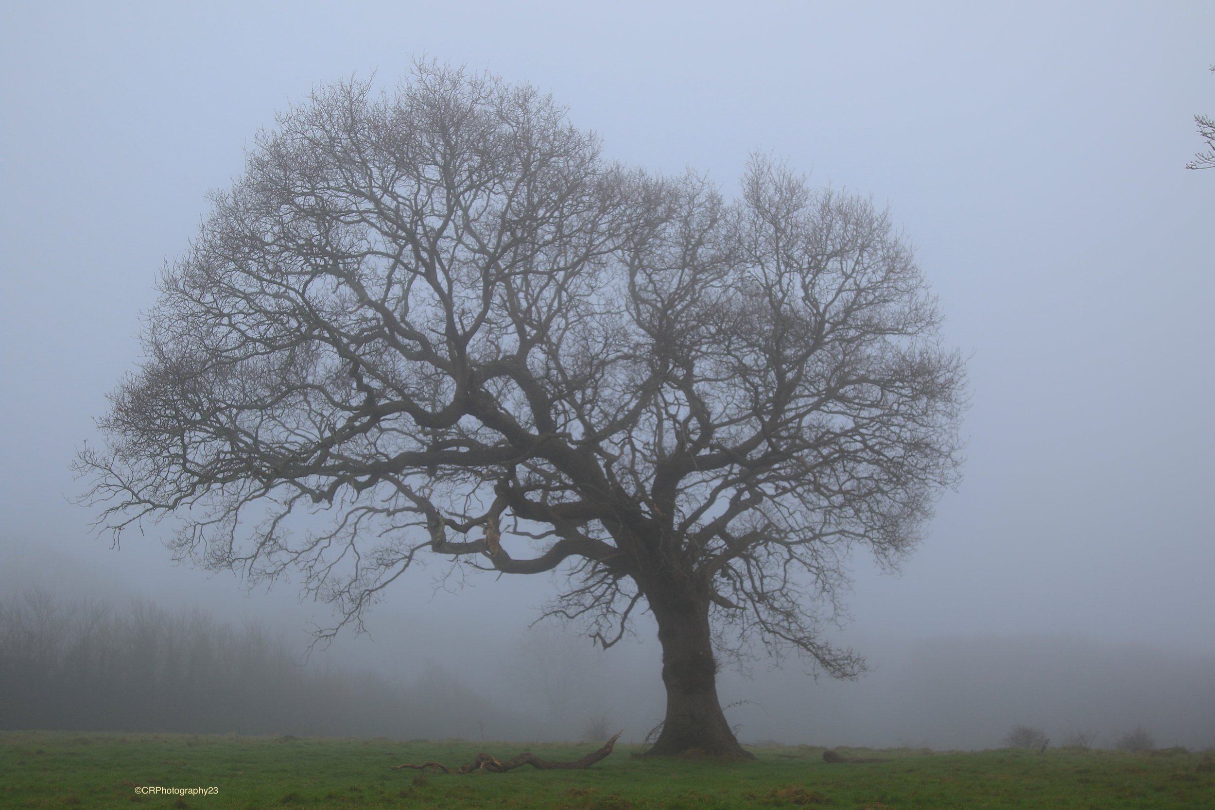 31-12-25 Newtown 03 .jpeg