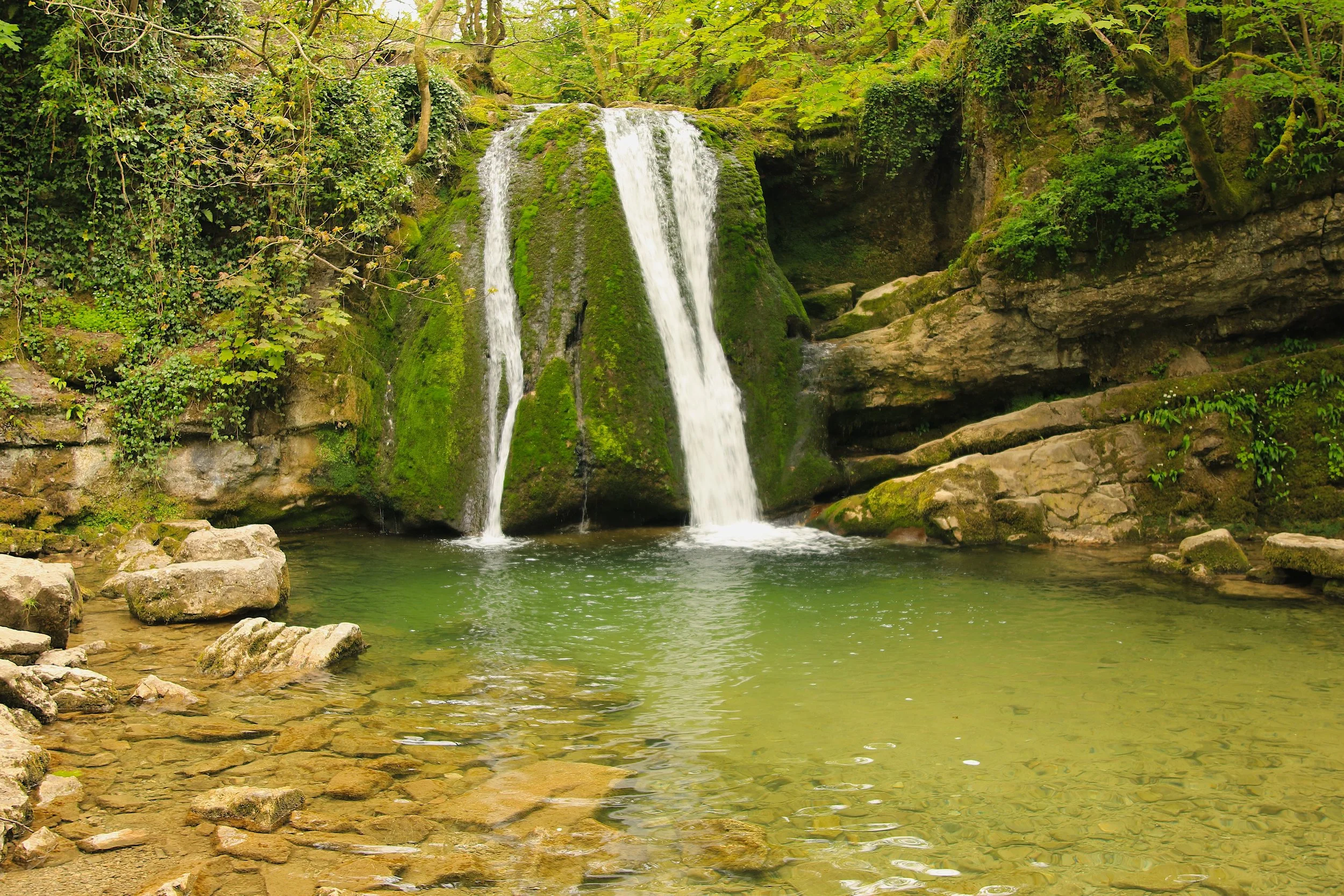 Janet's Foss