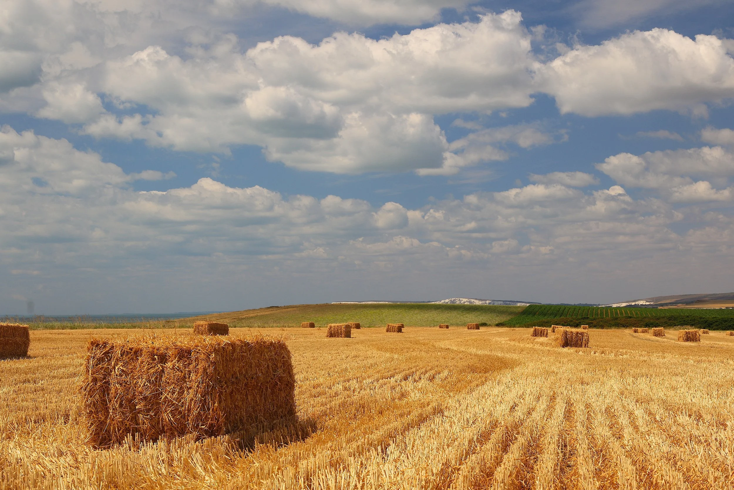 19-07-26 The Military Road Hay Bales 18 .jpeg