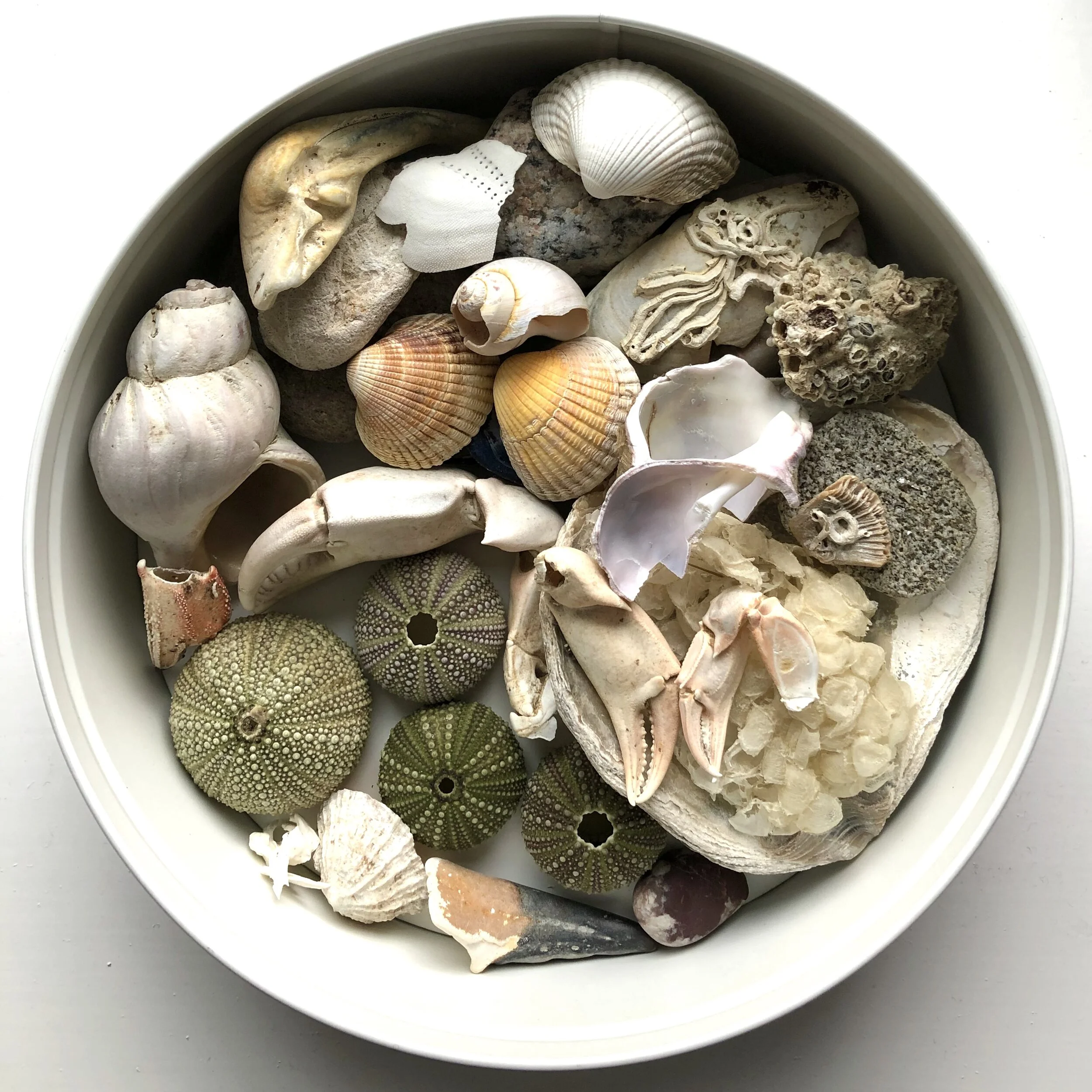 Bringing Nature Indoors