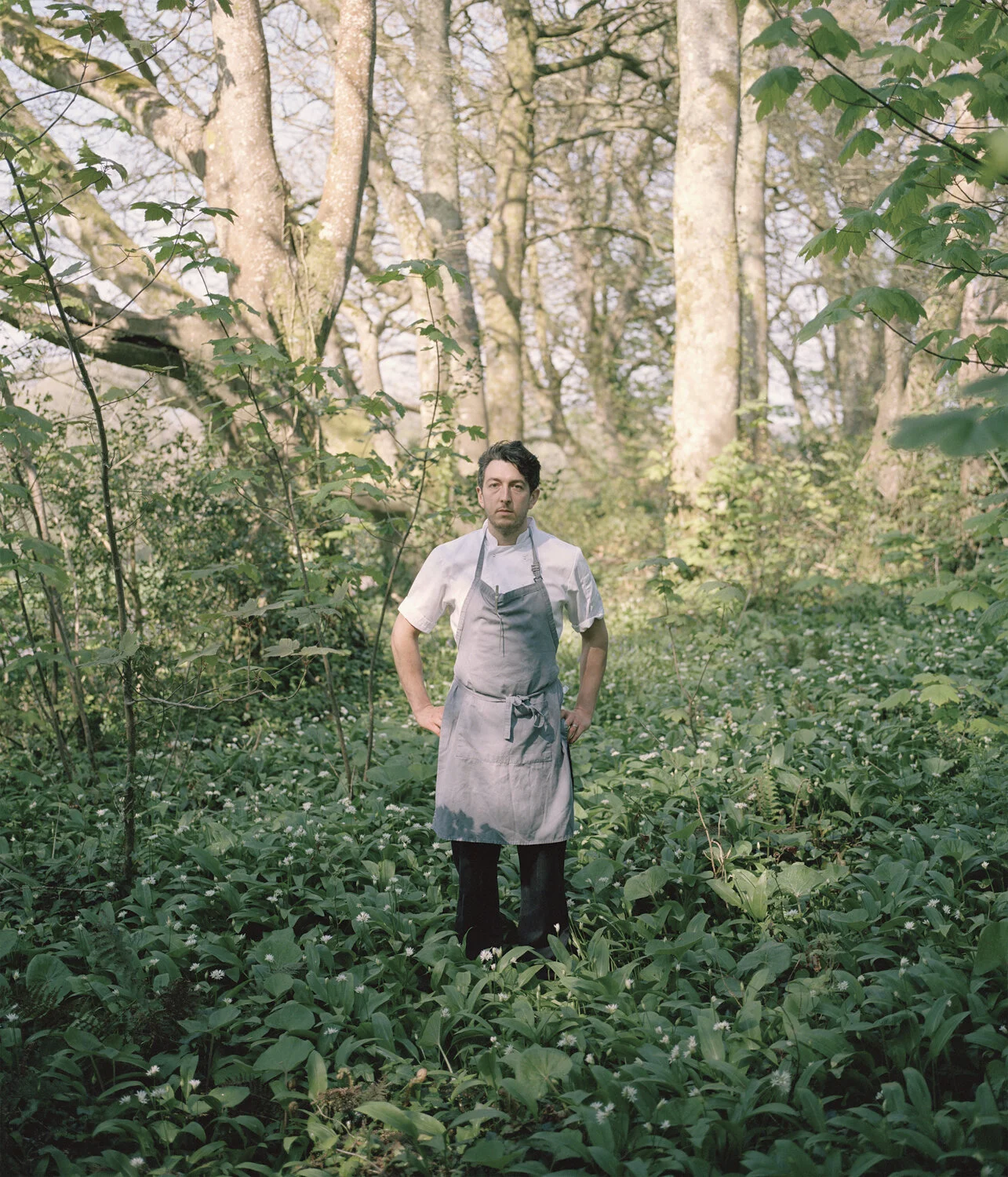 Gatherers - Jaime Molina