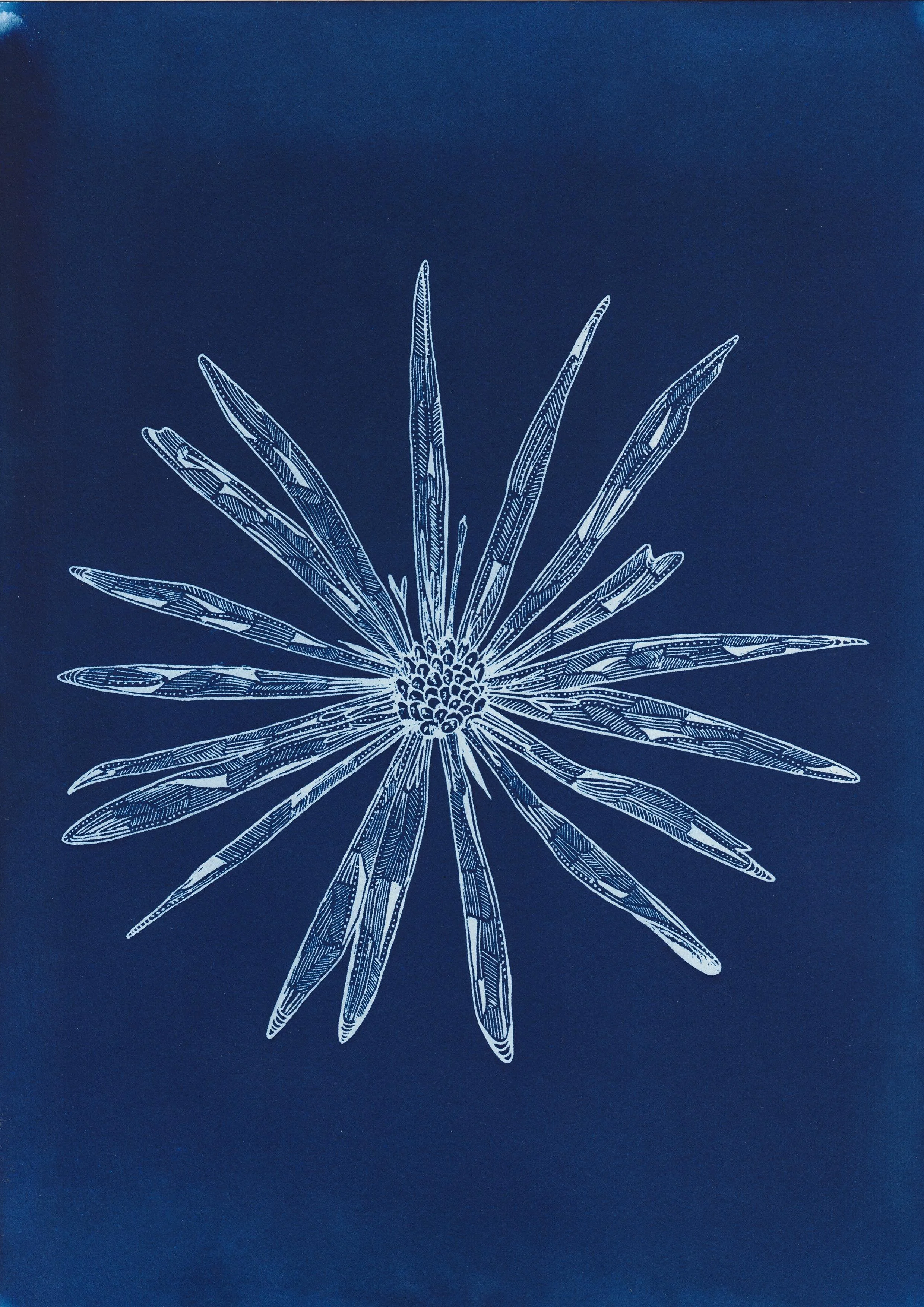 Garden of Extinction - Amy Pezzin