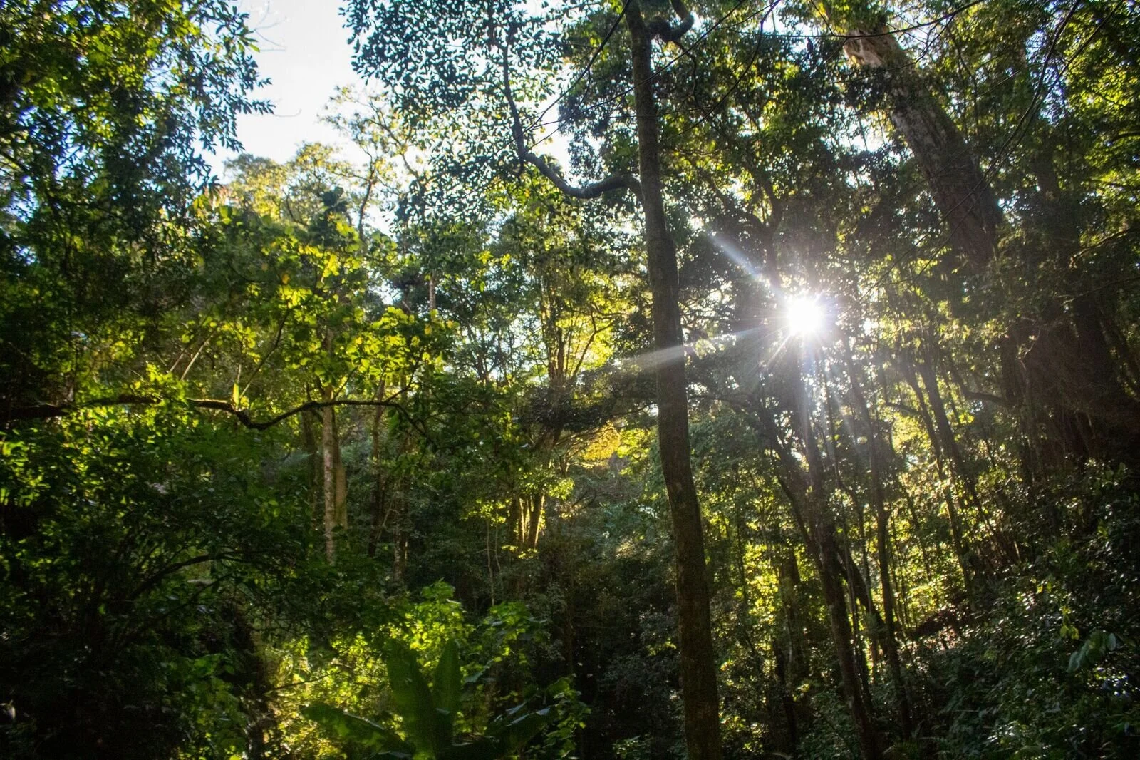 The wonders of Costa Rica: A real life Neverland 