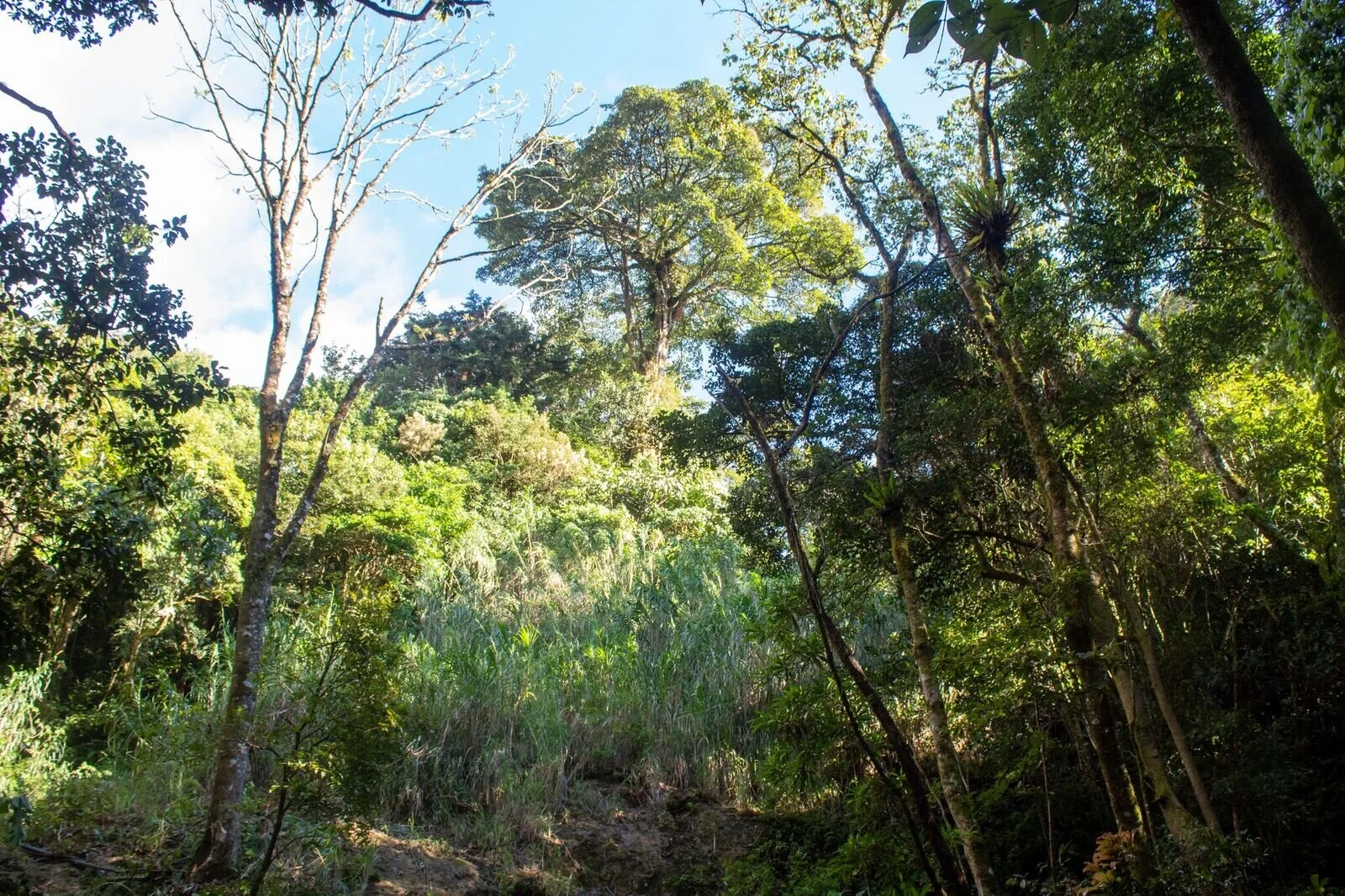 Conservation Without Borders