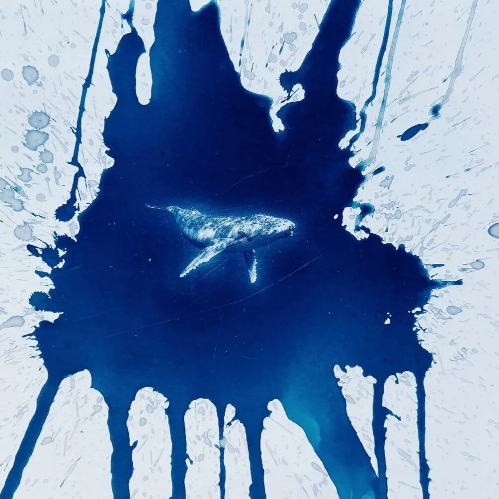 Cyanotypes - Craig Keenan