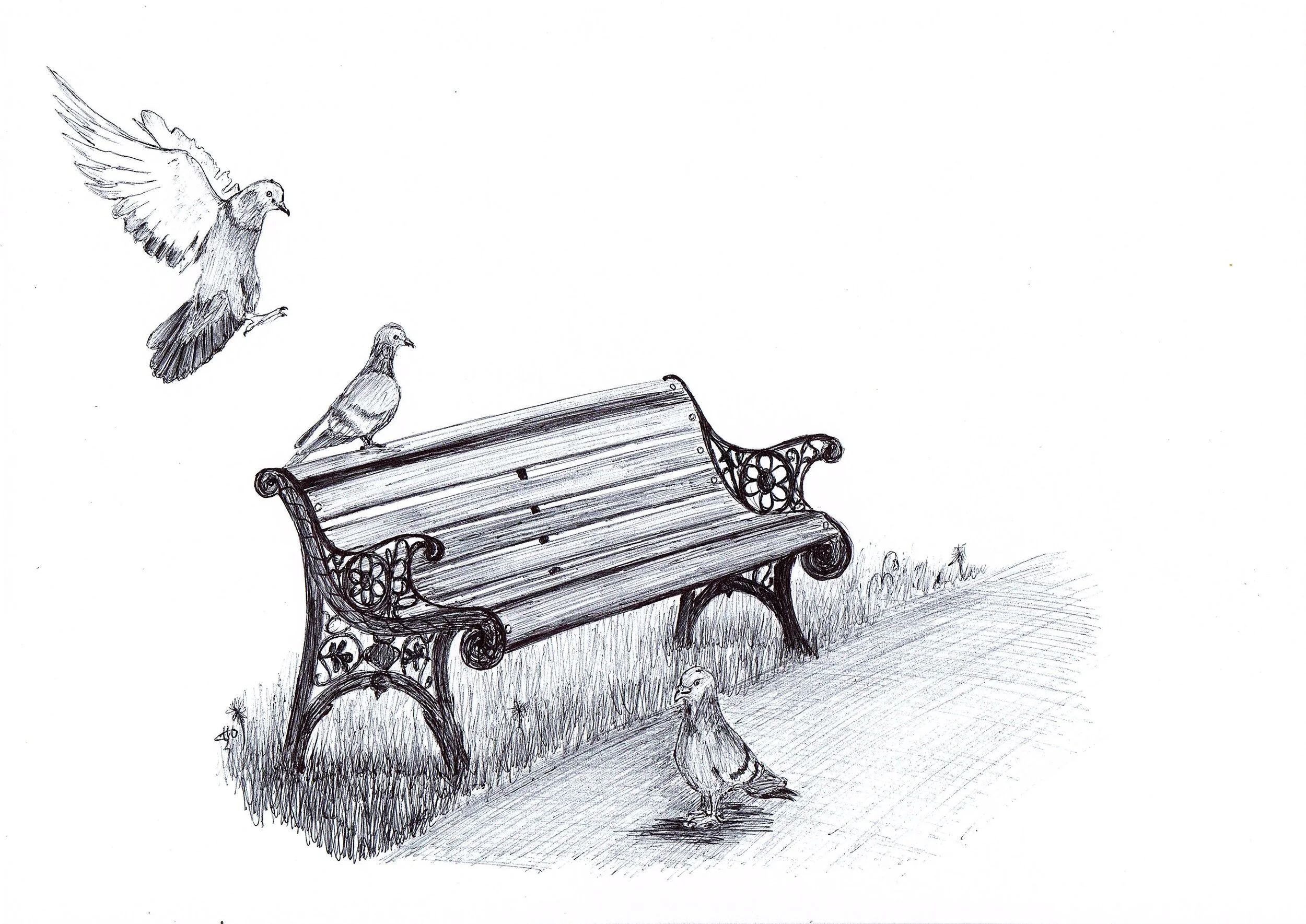 Bringing Nature Home