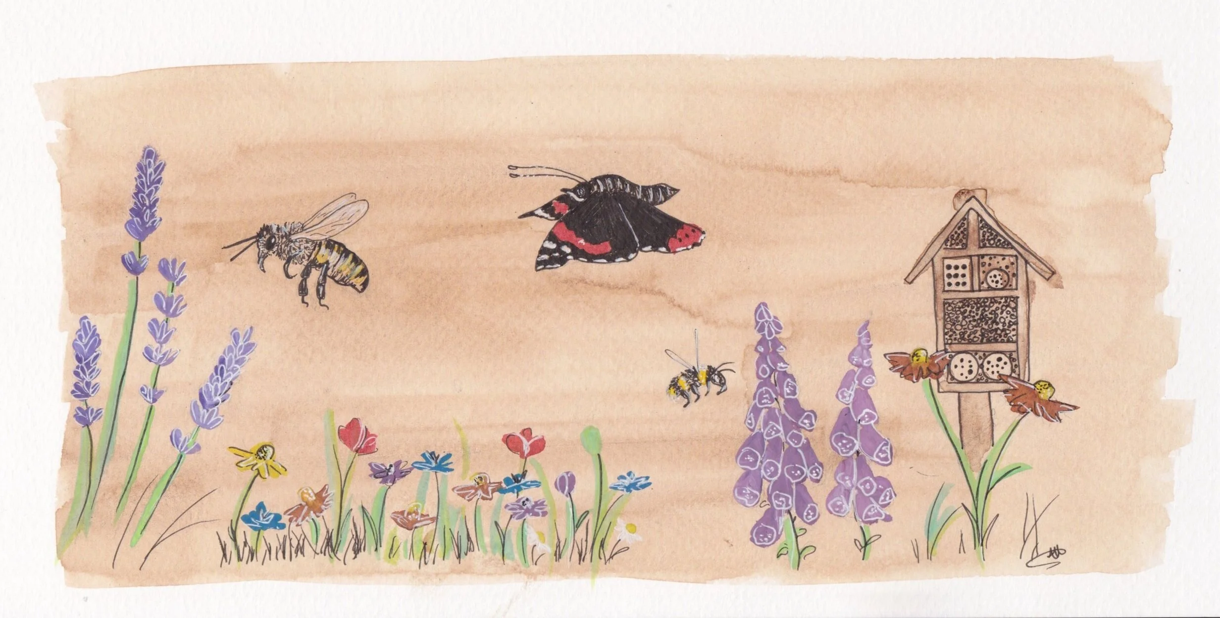 The Importance of Pollinators