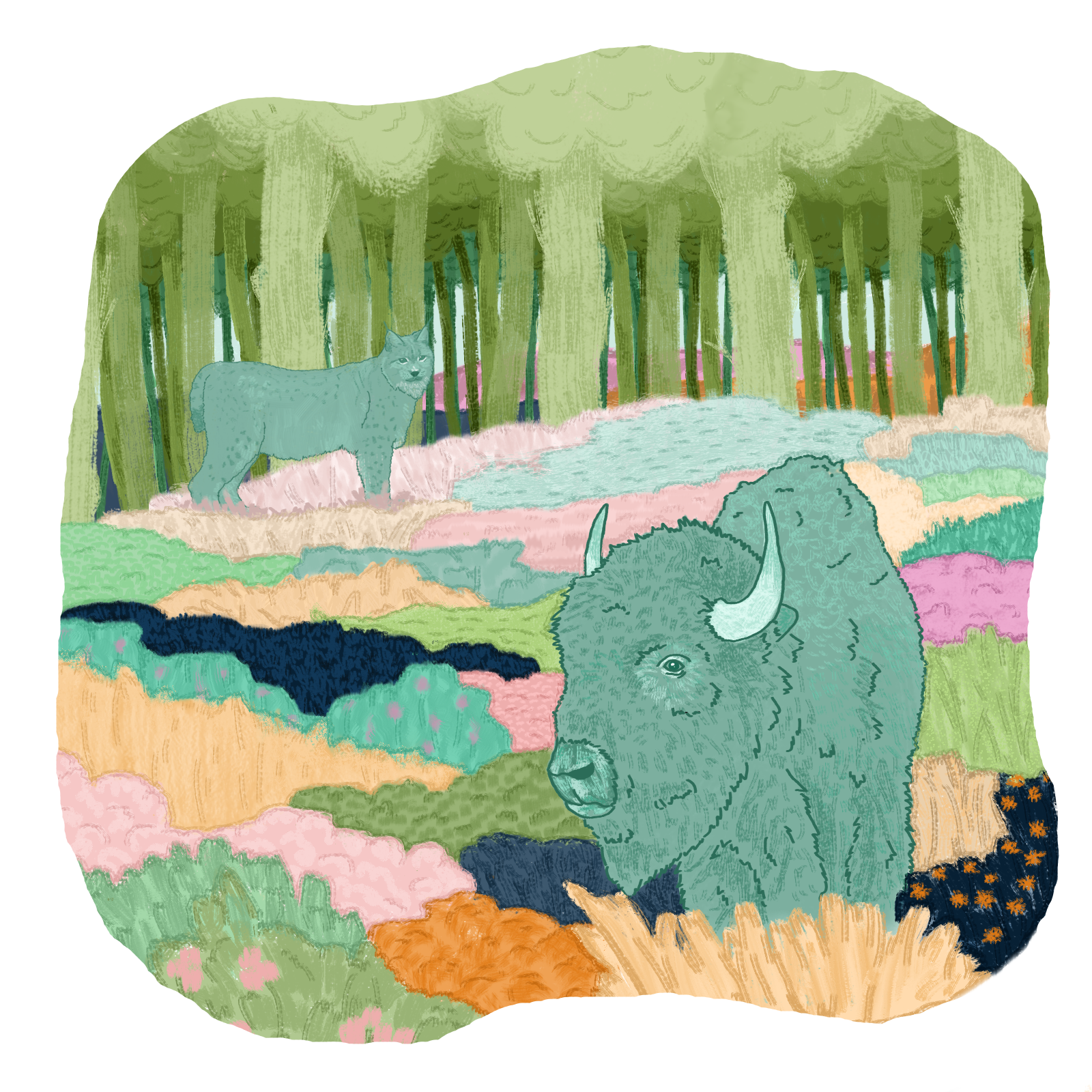 Rewilding – Making Britain a wilder place through restoration, regeneration, and reintroductions