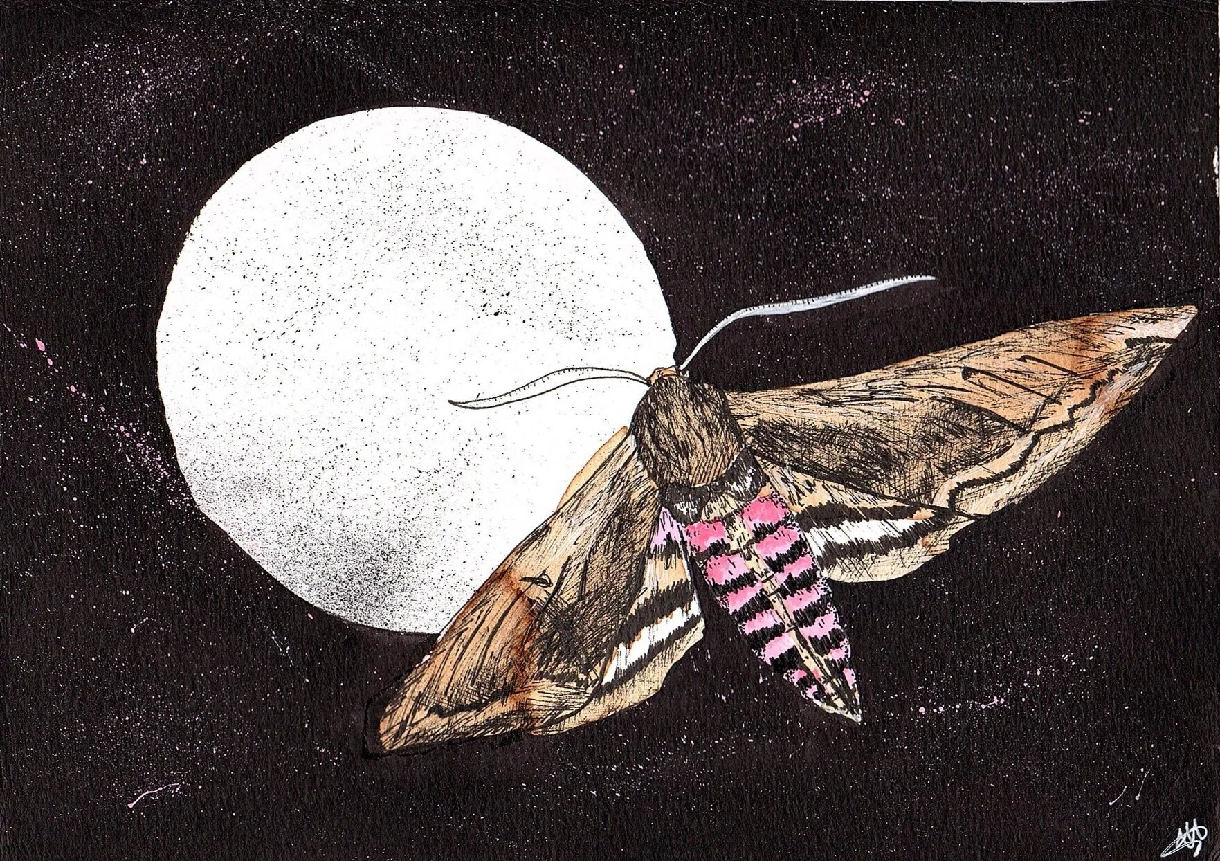 "Mythical Moth" by Lucy Saunders