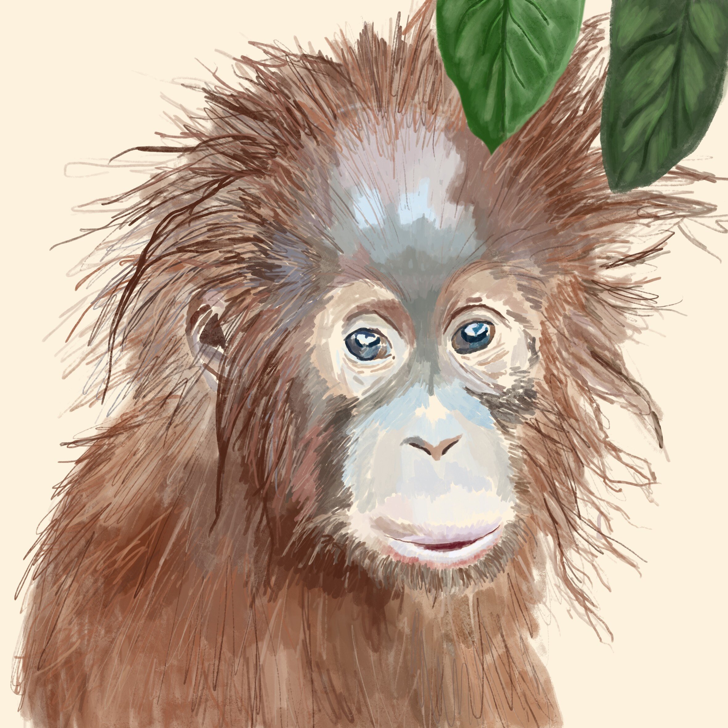 World Orang-utan Day