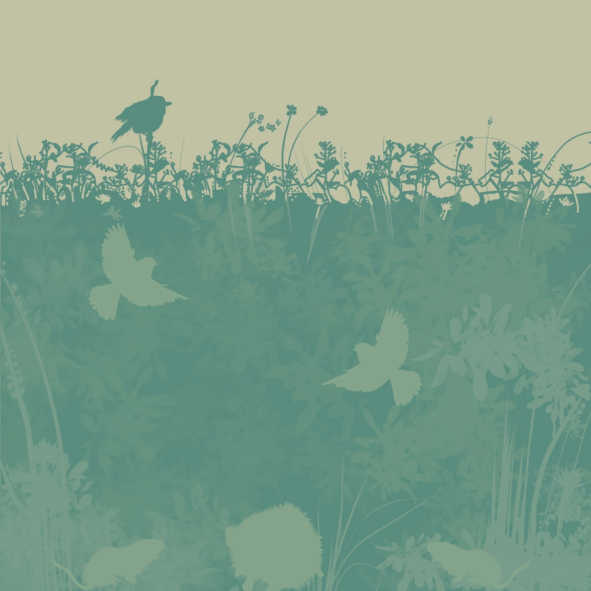 Hedgerow Heroes