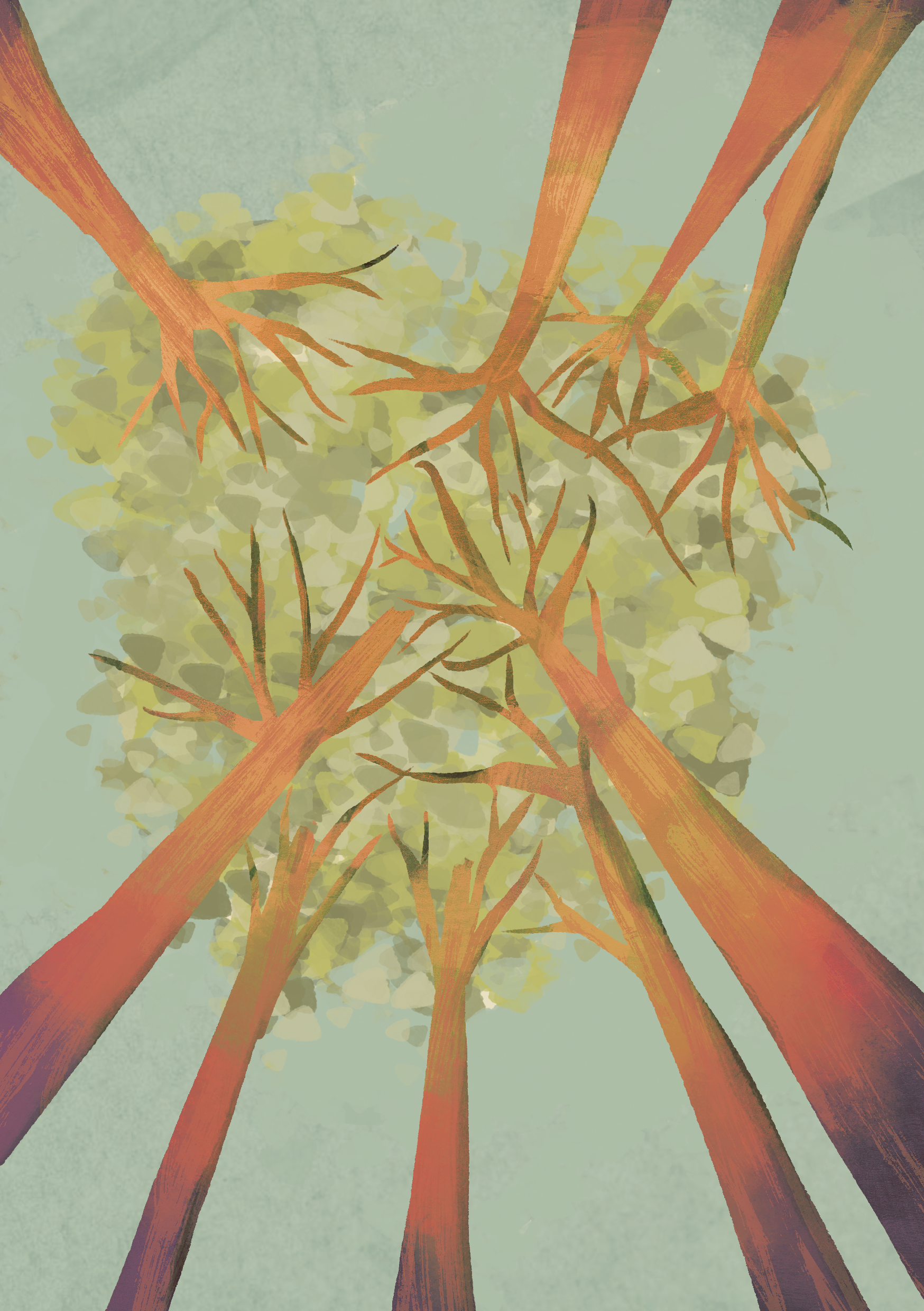 The role of the urban tree canopy in combatting climate change - Vol 3 Sneak Peek