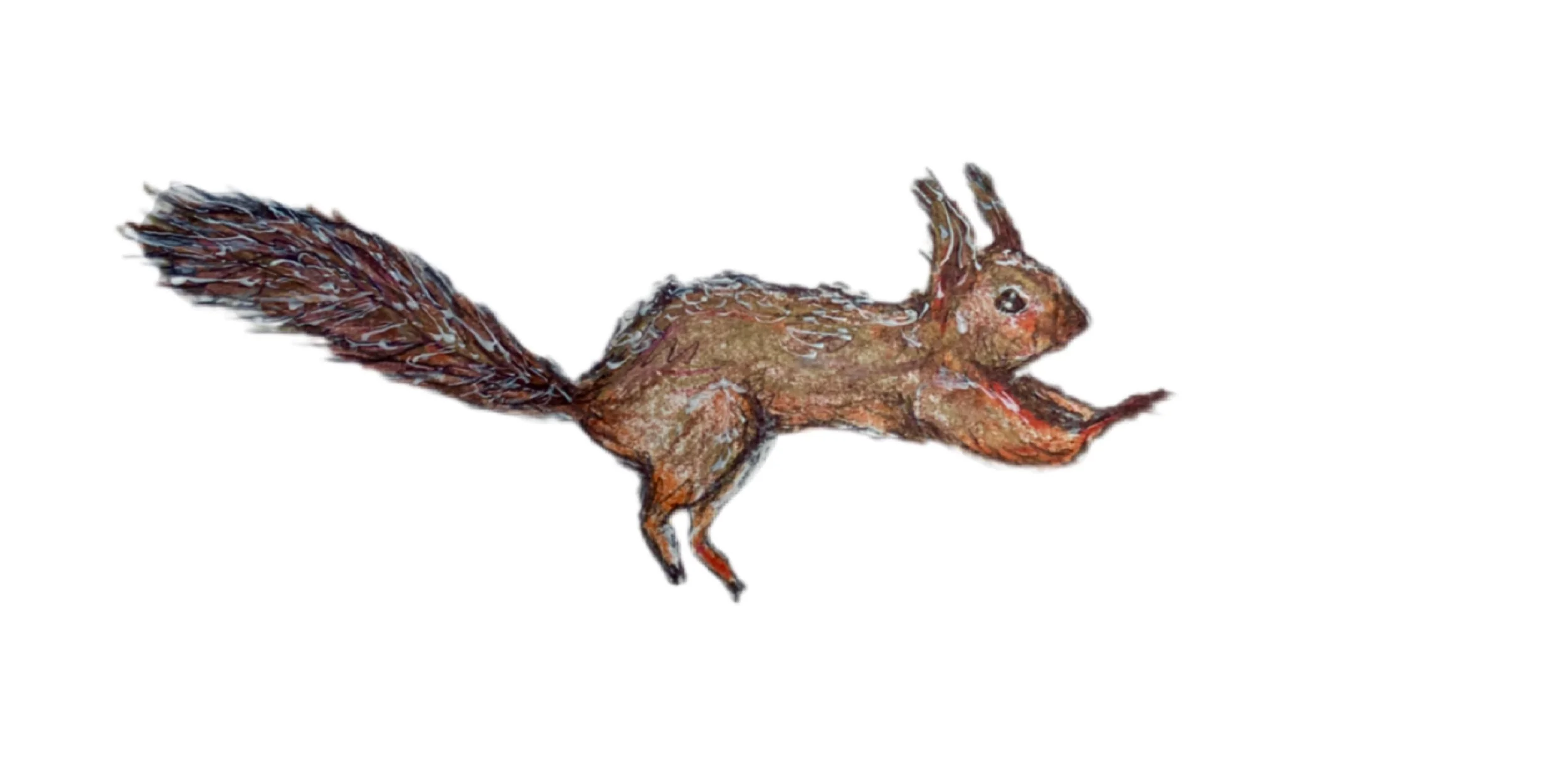 Rewilding our gardens - Vol 3 Sneak Peek