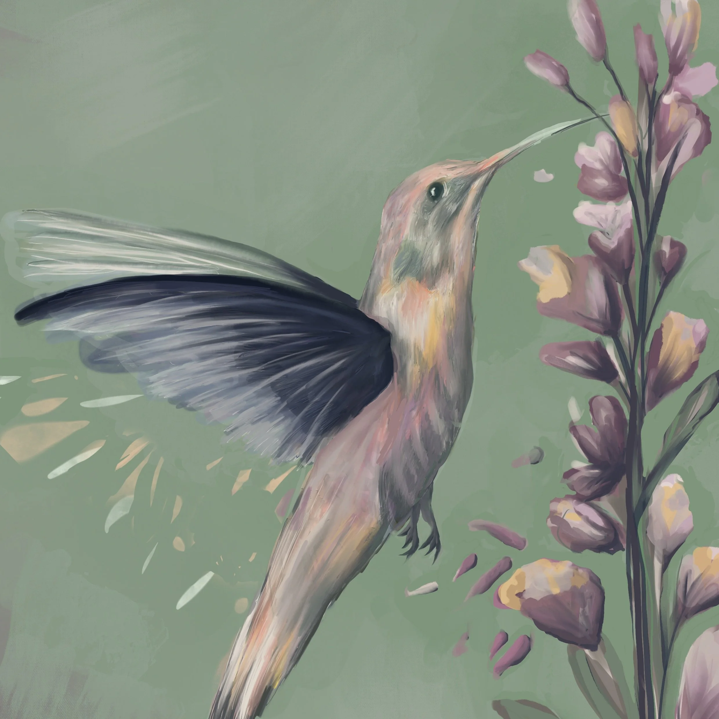 Unseen pollinators: beyond bees - Vol 4 Sneak Peek