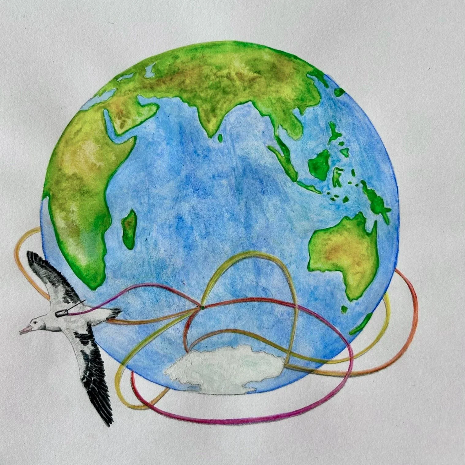 The ultimate collaboration: technology and conservation allying to restore nature - Vol 5 Sneak Peek