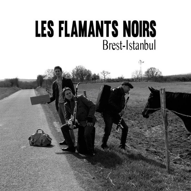 Trio Flamants Noirs