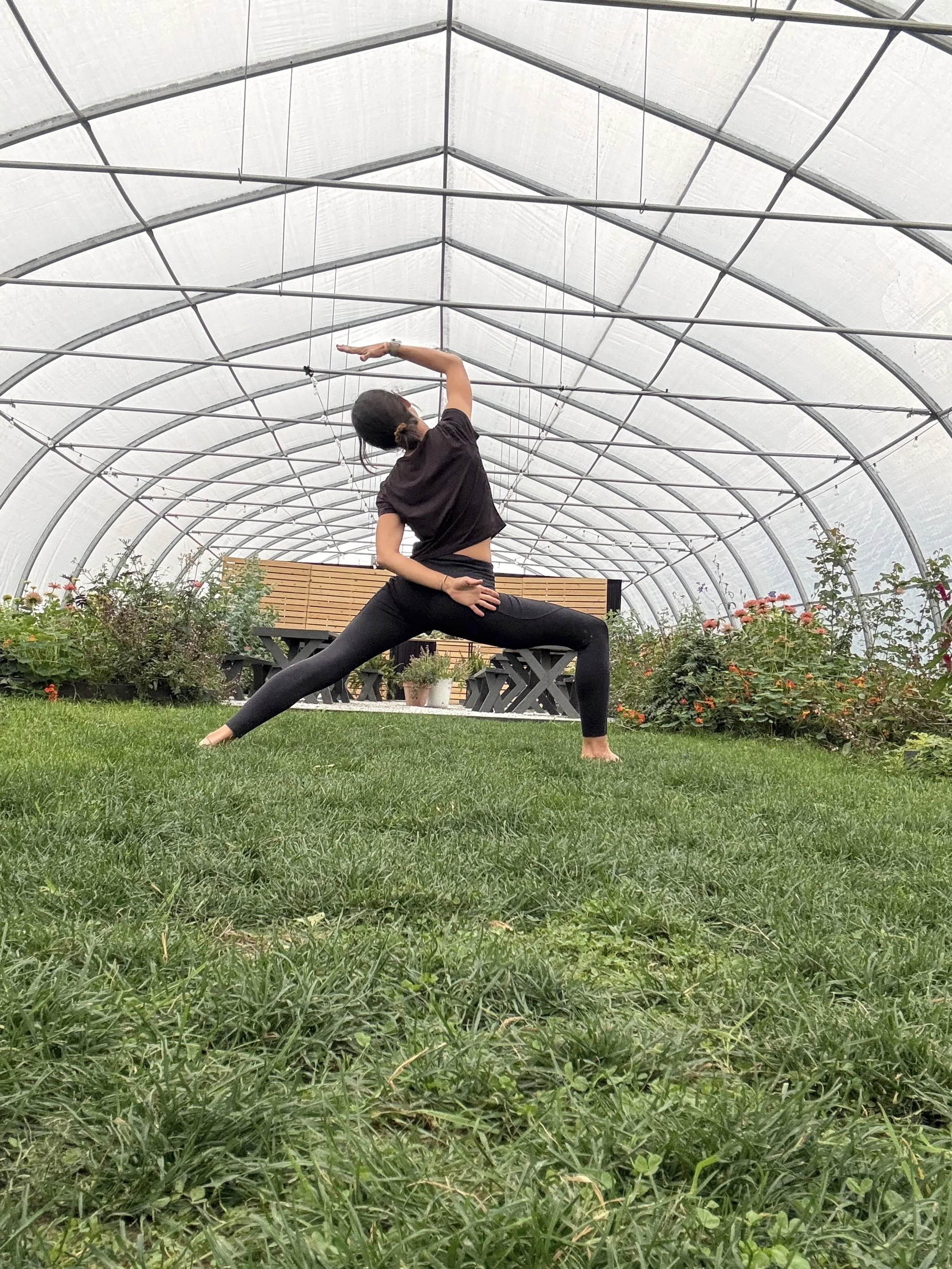 Yoga in the Greenhouse