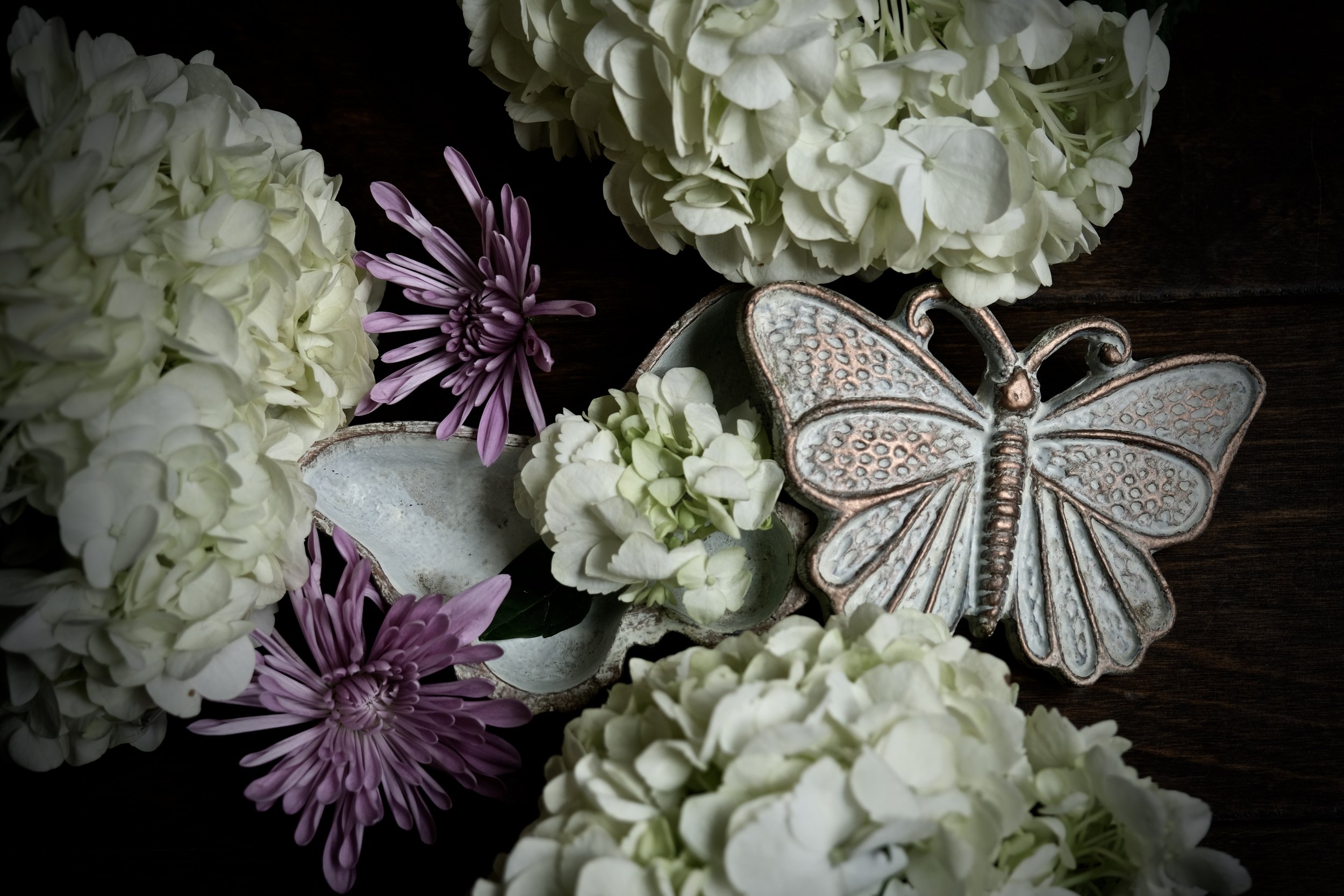 Butterflies Reminded Her Of What She’d Lost - 2022