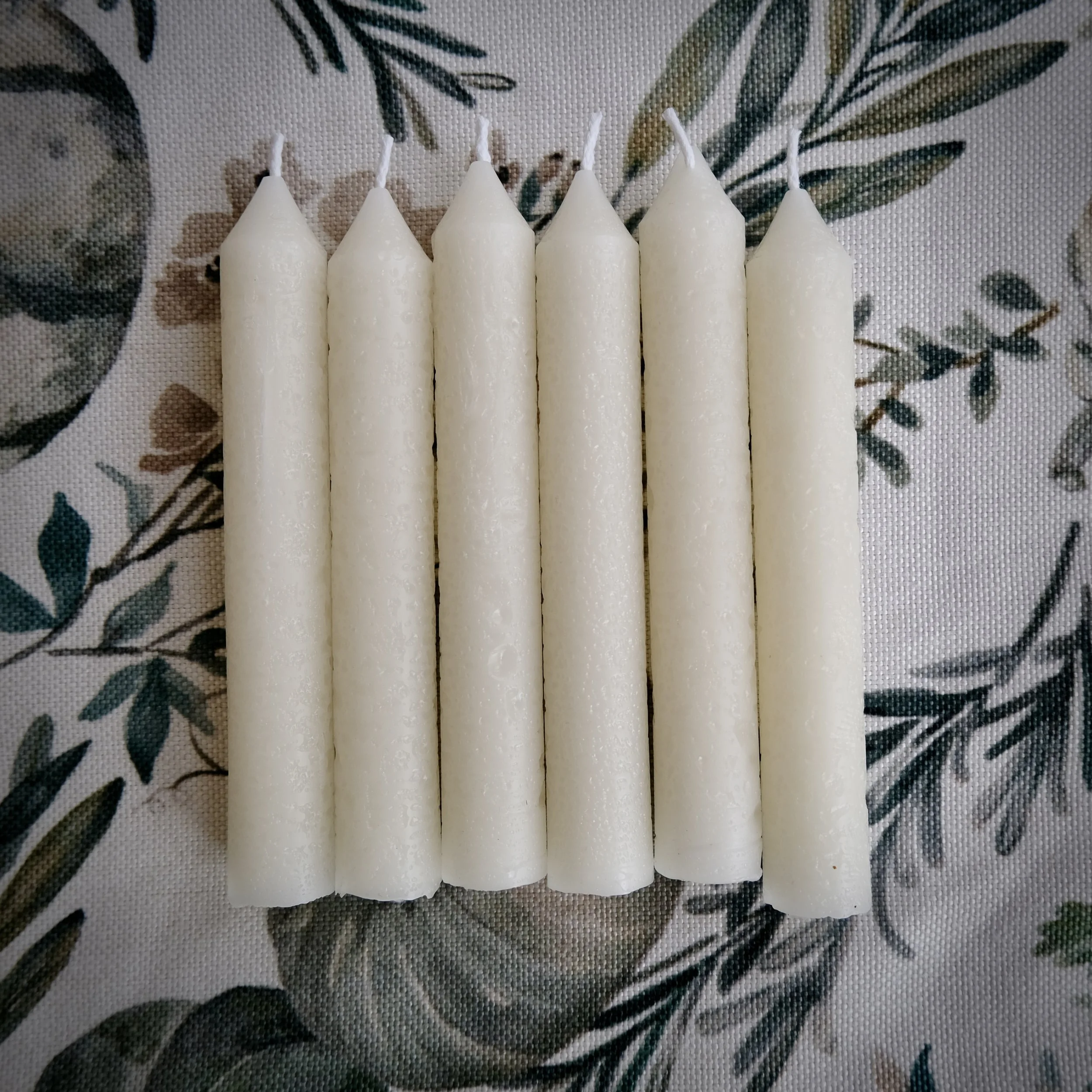 DSCF8564.JPG
